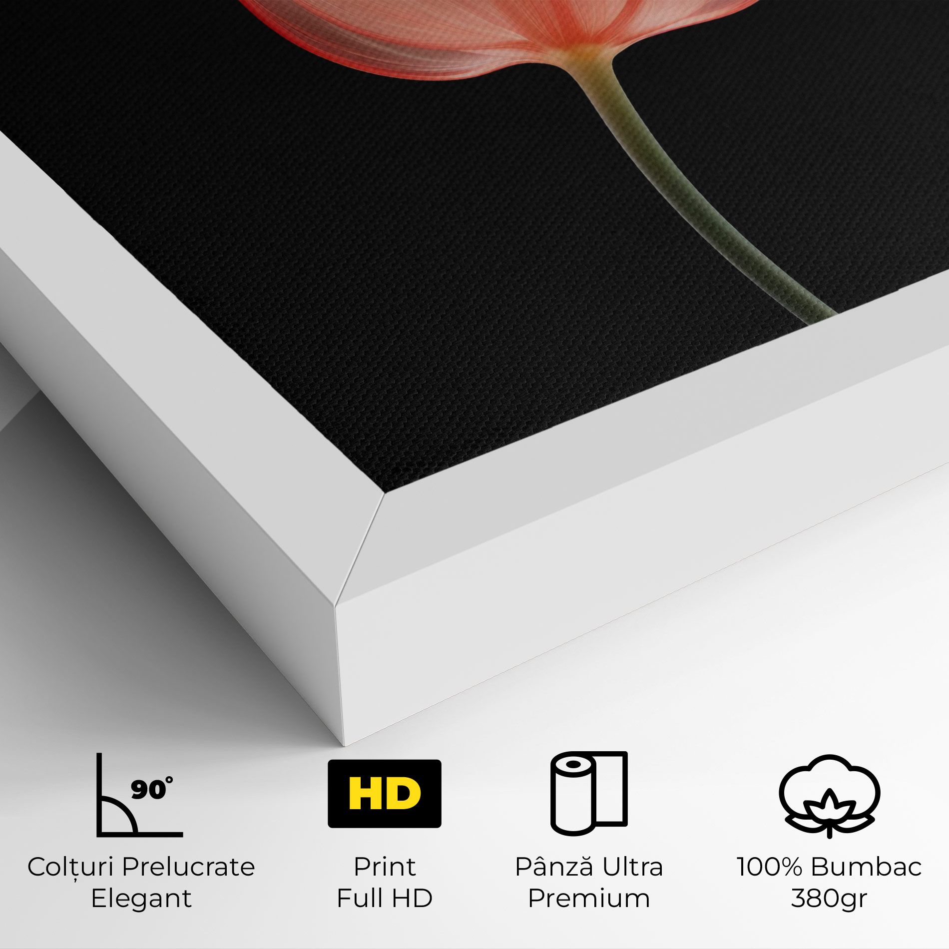 Pastel Pink Tulip mockup 4