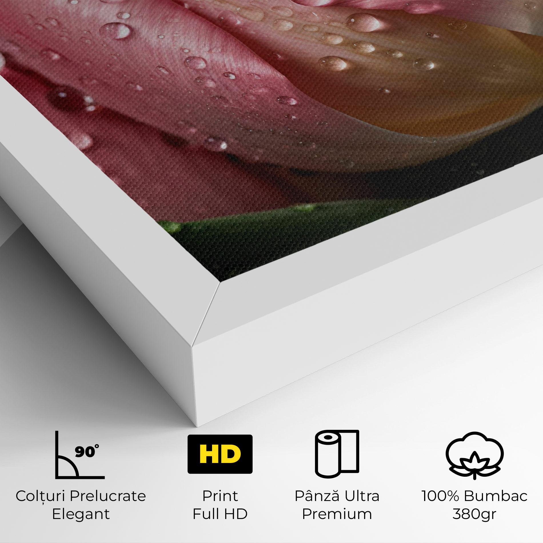 Tablou Canvas Pink Tulip With Drops mockup 4
