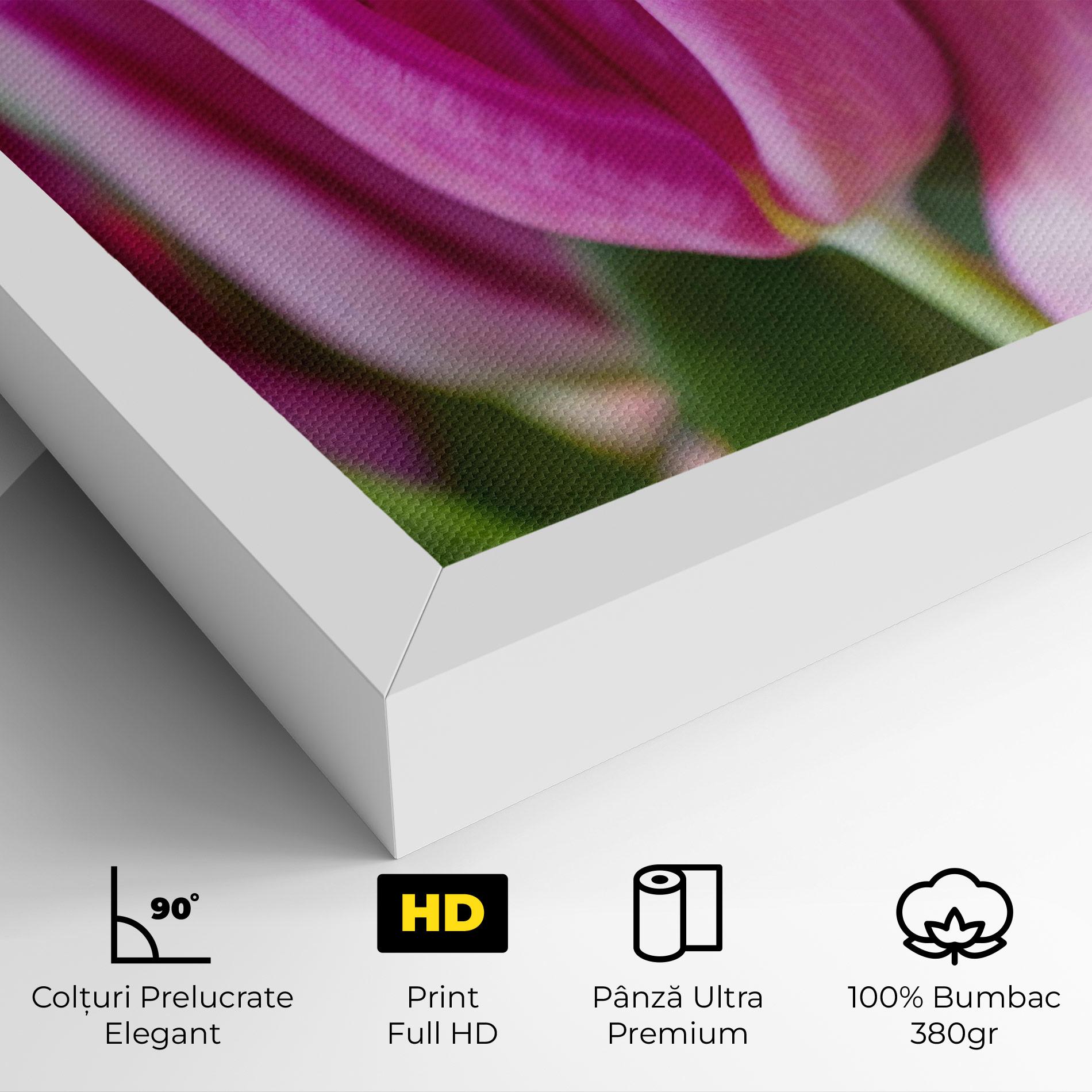 Tablou Canvas Purple Tulip Close Up mockup 4