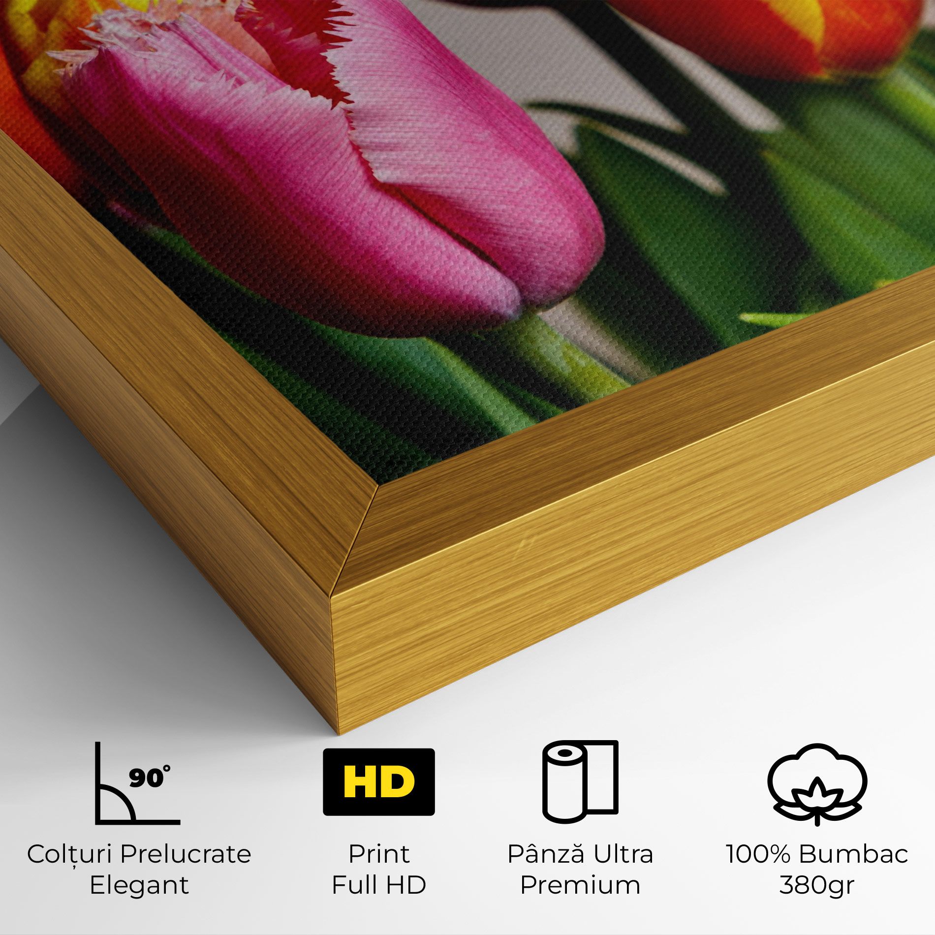 Pink Orange Tulips mockup 4