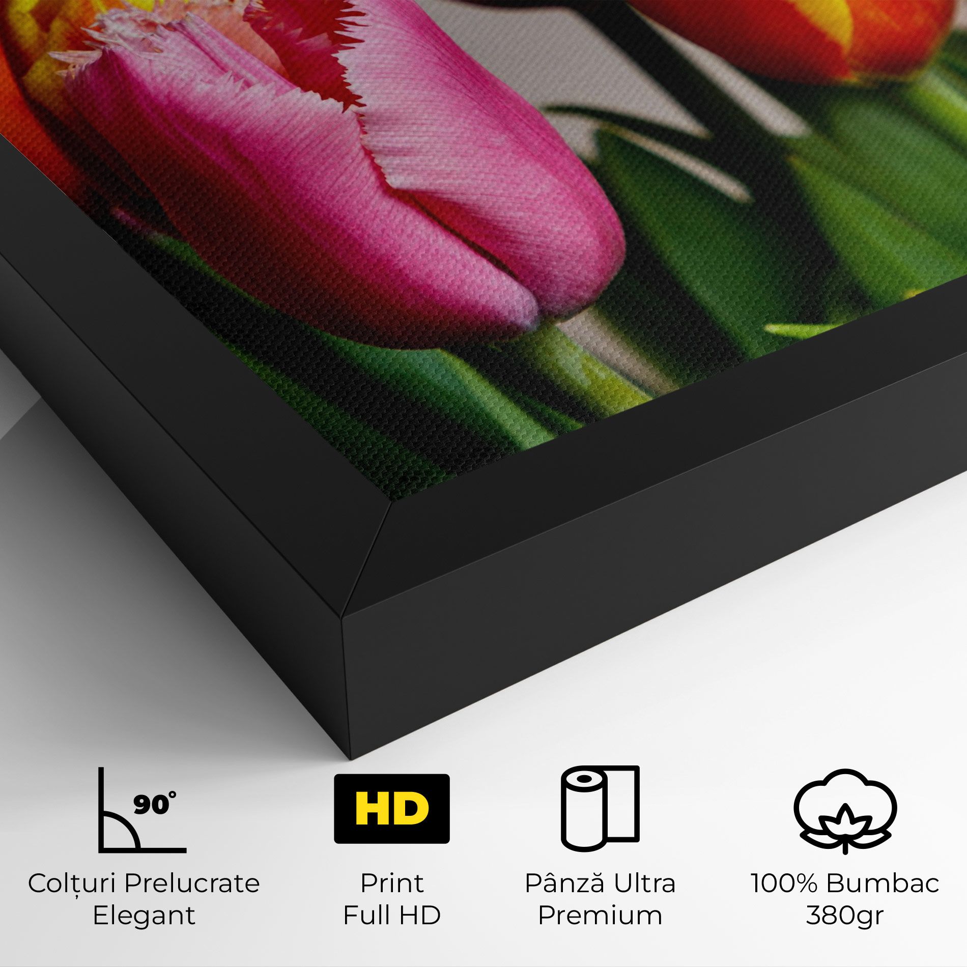 Pink Orange Tulips mockup 4