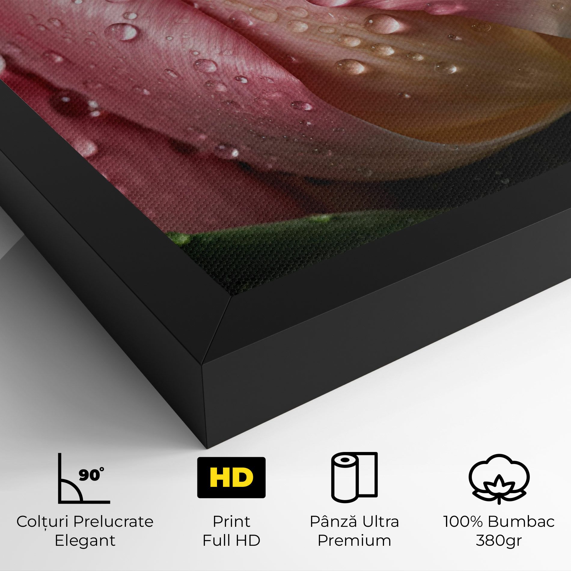 Pink Tulip With Drops mockup 4