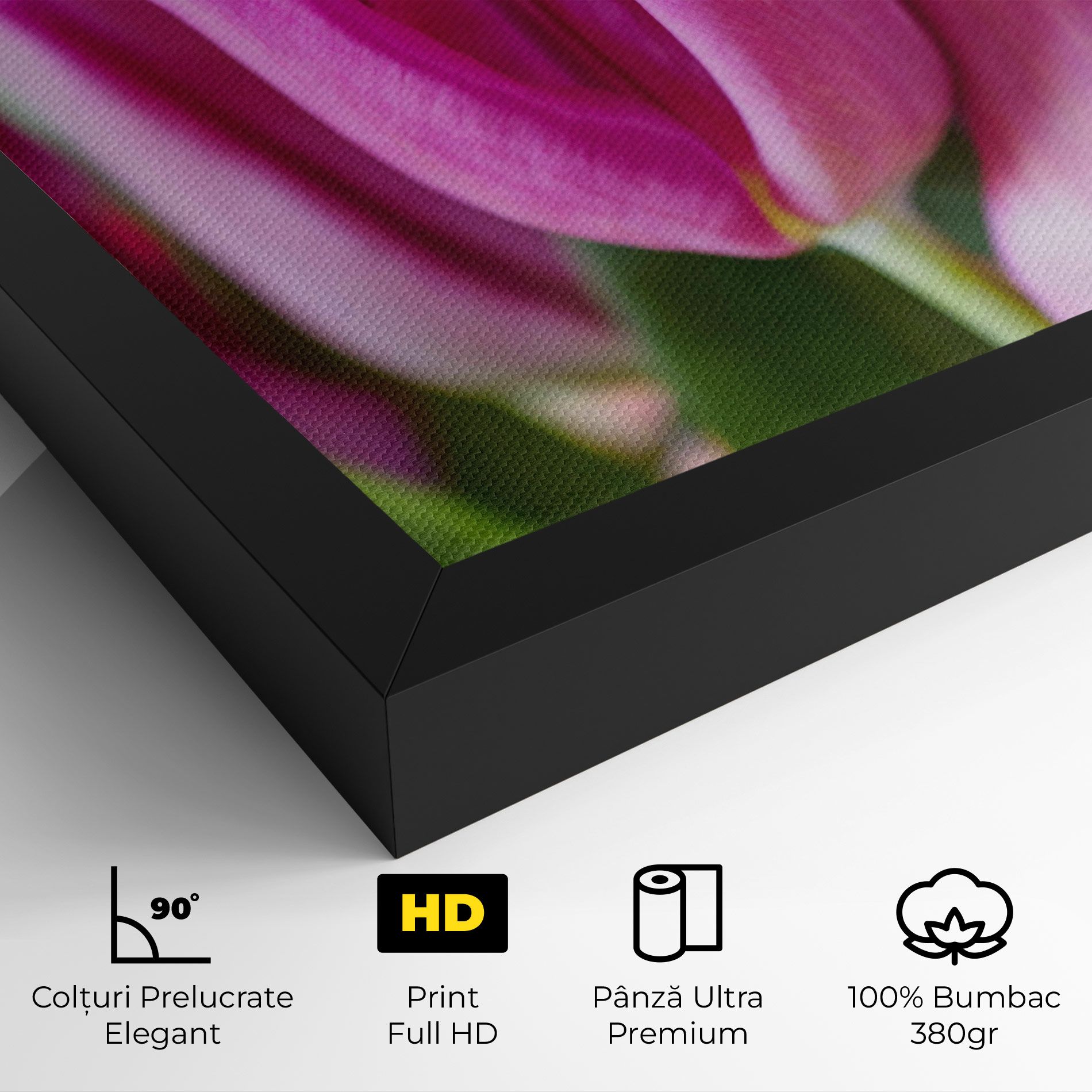 Purple Tulip Close Up mockup 4