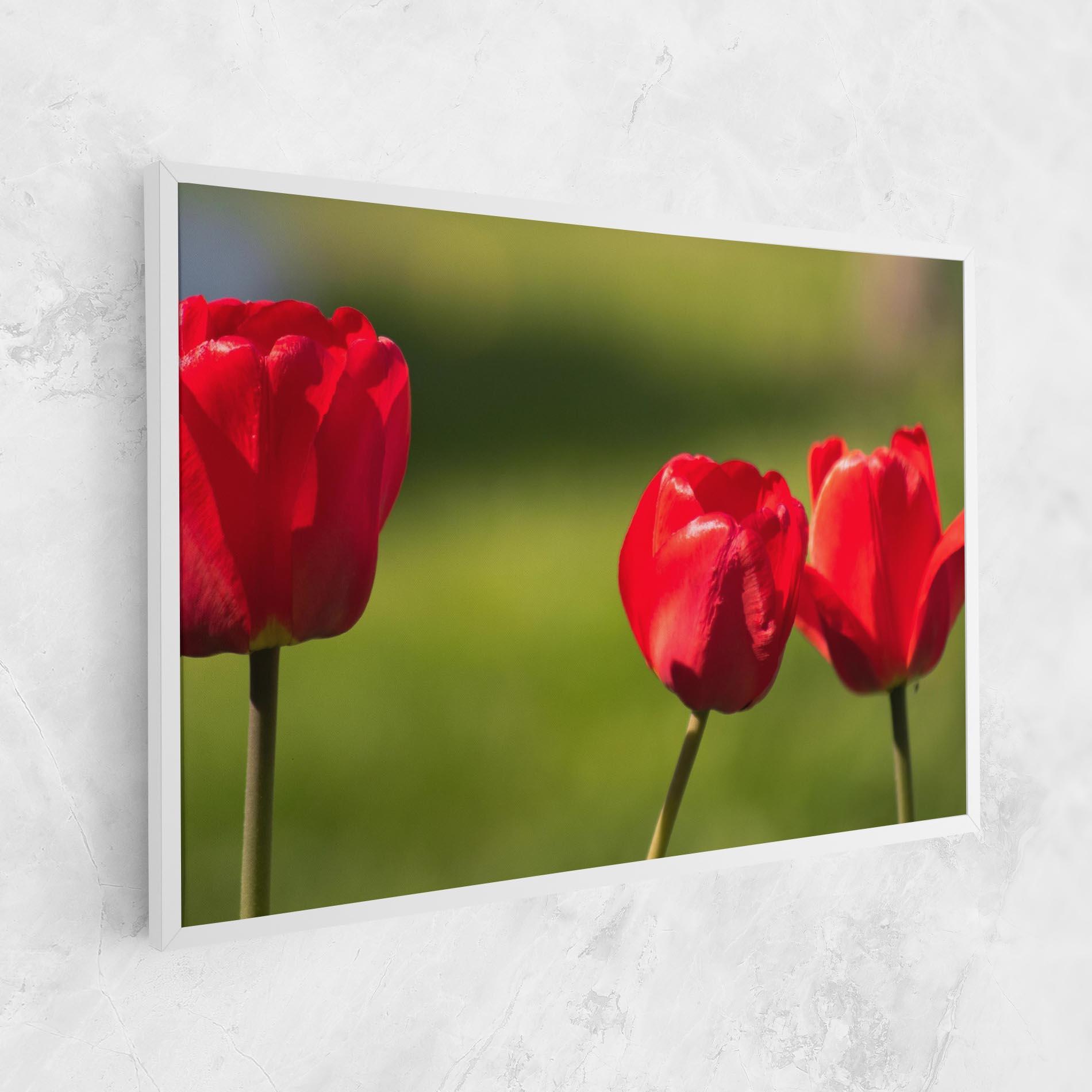 Tablou Canvas 3 Red Tulips mockup 1