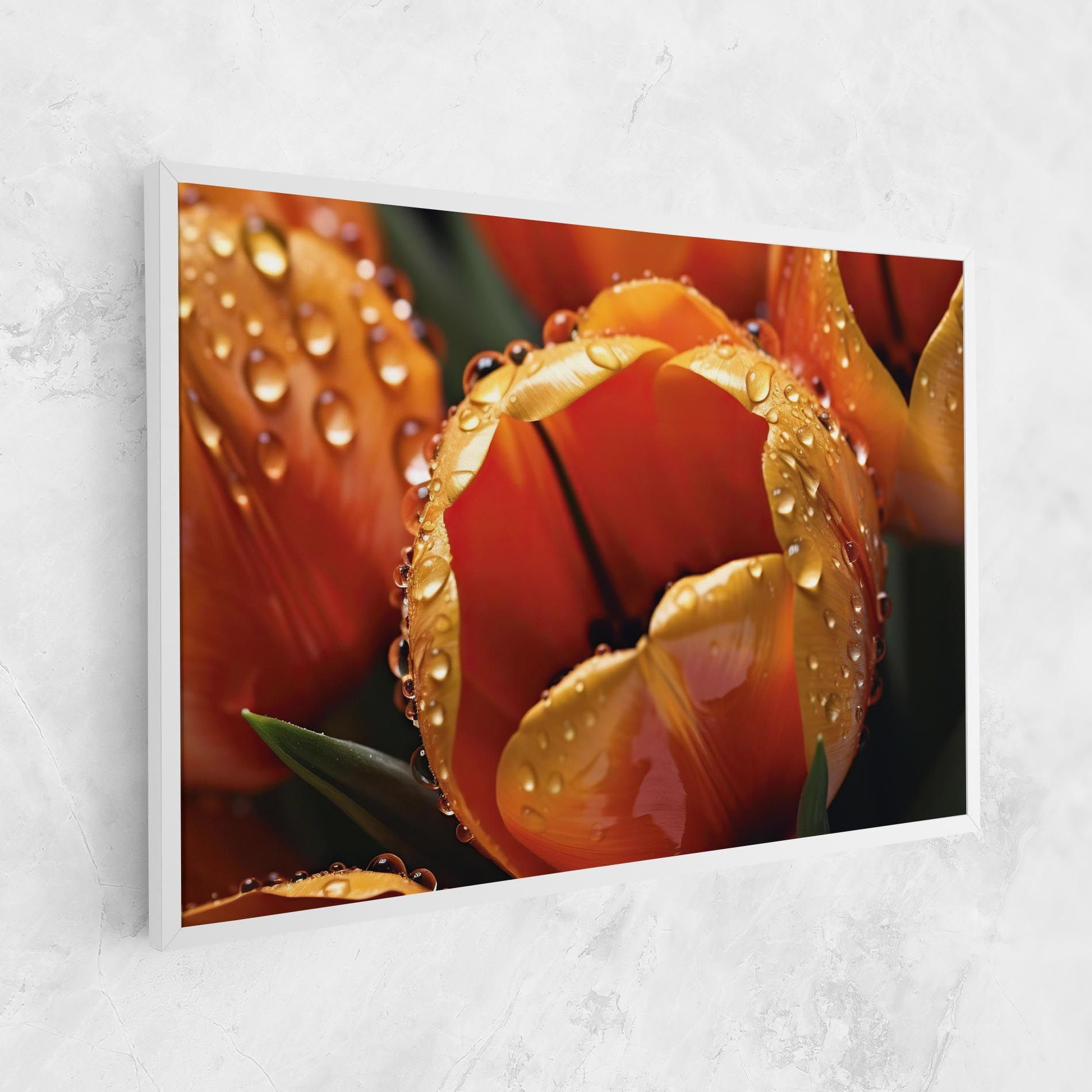 Orange Tulip Water Drops mockup 1