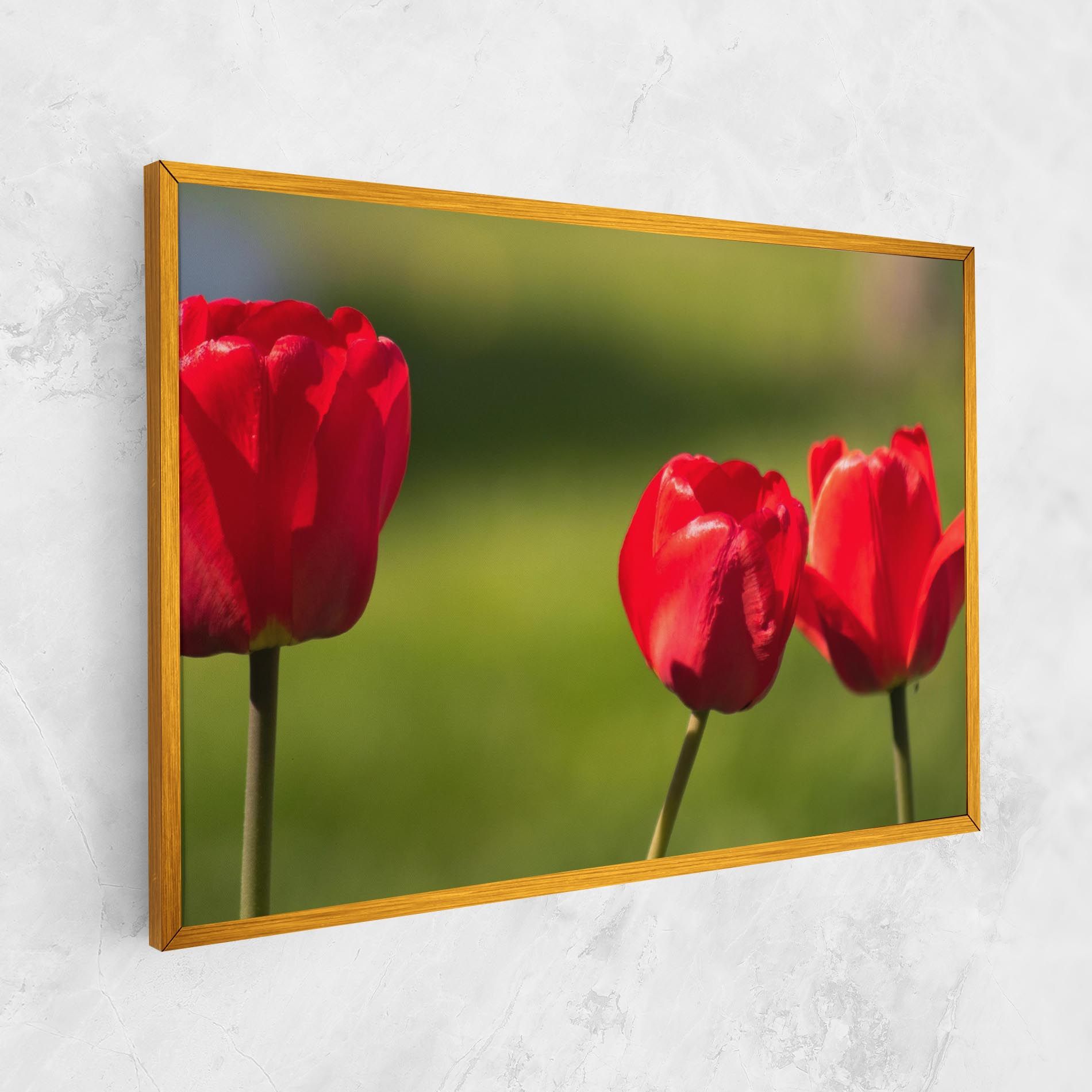3 Red Tulips mockup 1
