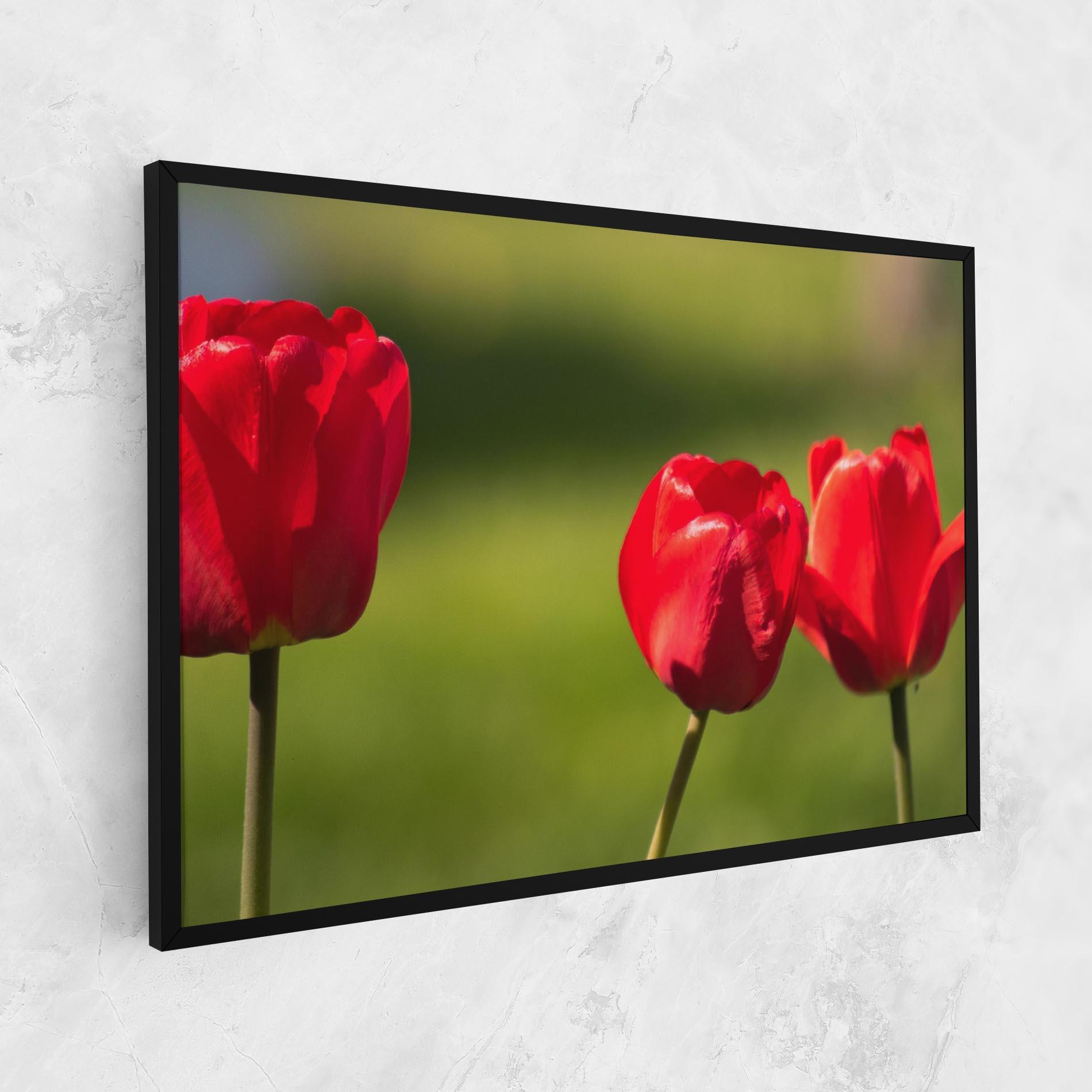 Tablou Canvas 3 Red Tulips mockup 1