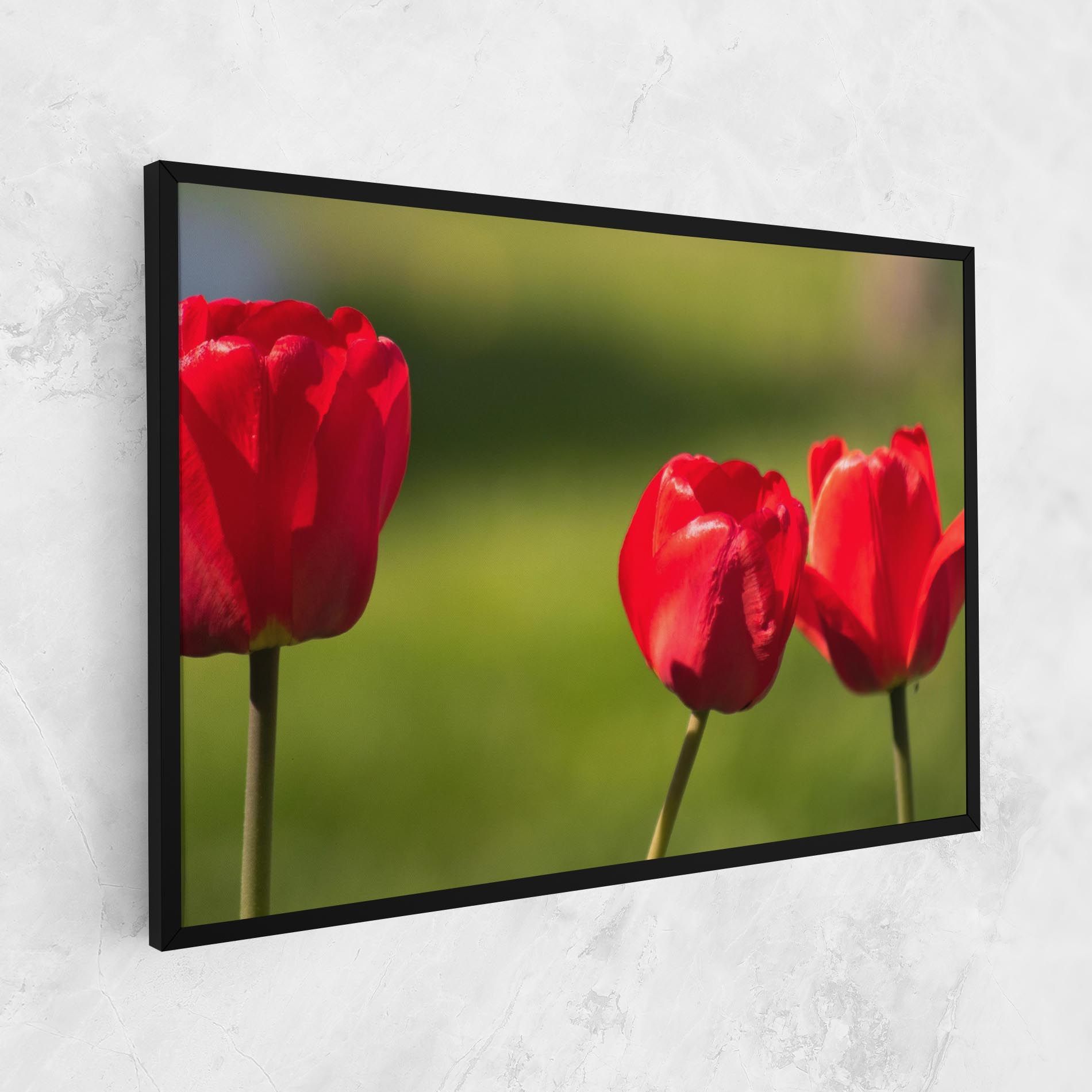 3 Red Tulips mockup 1