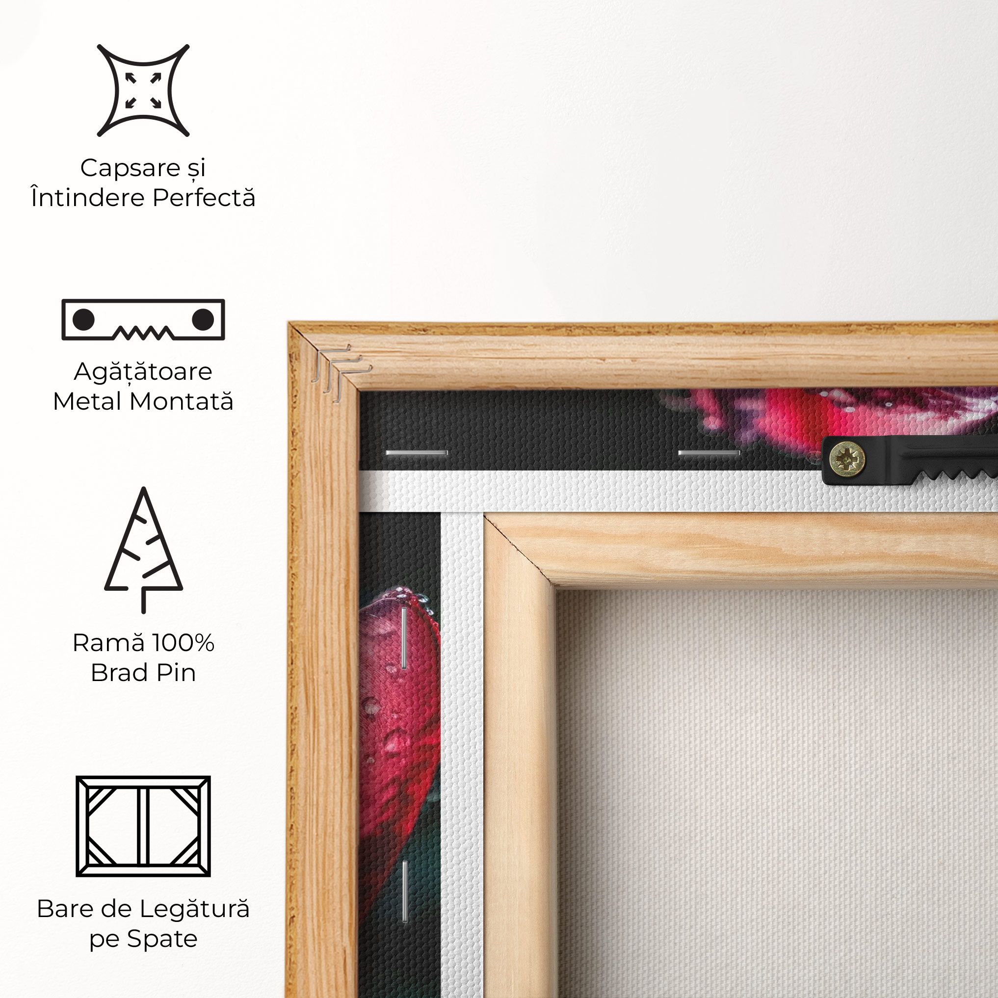 Pink Tulip After Rain mockup 5