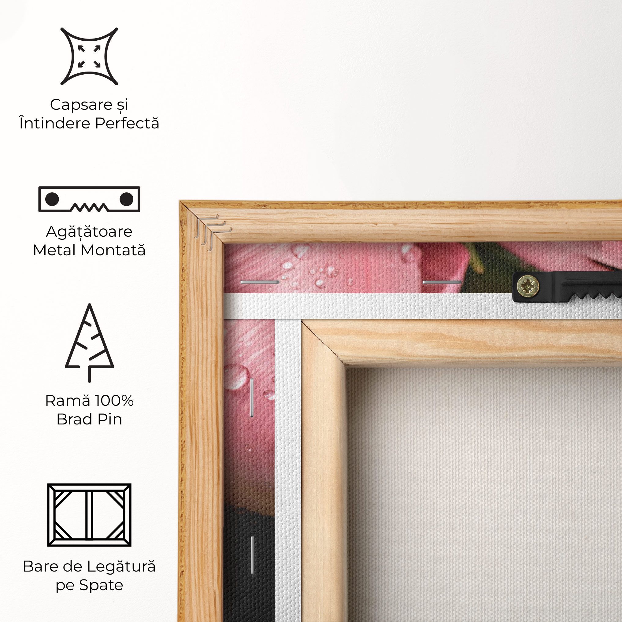 Pink Tulip With Drops mockup 5