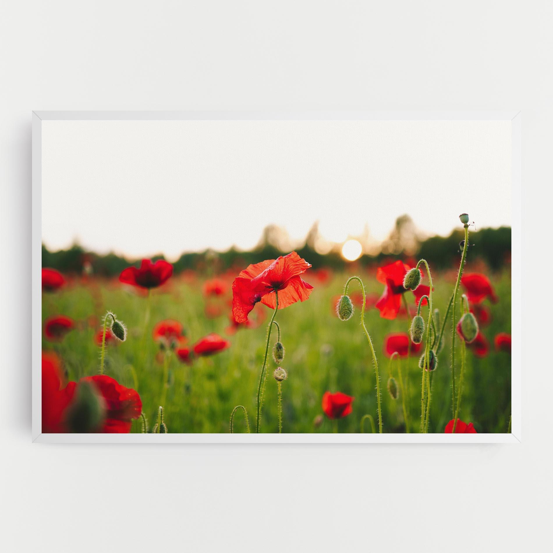 Tablou Canvas Poppies Field mockup 0
