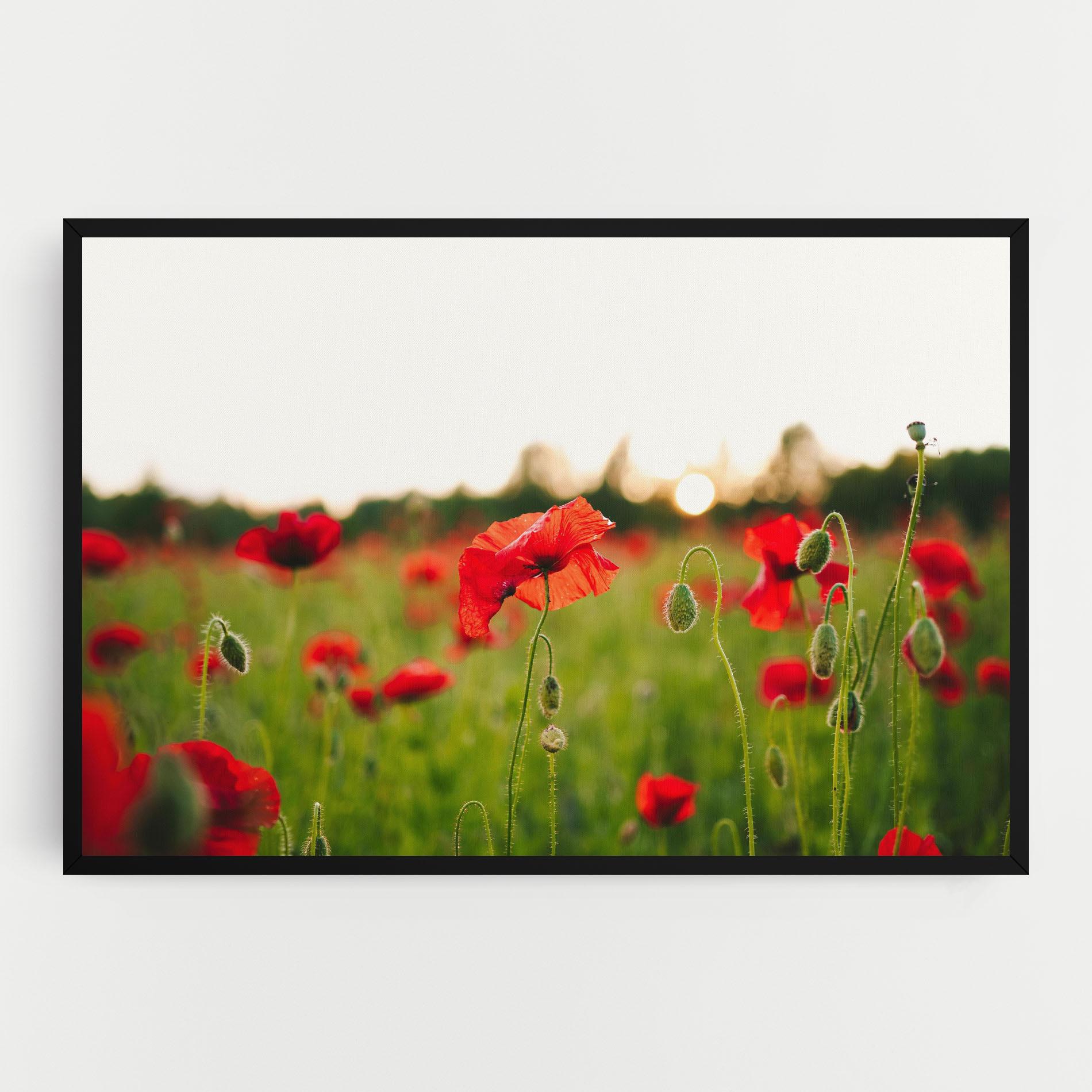 Tablou Canvas Poppies Field mockup 0