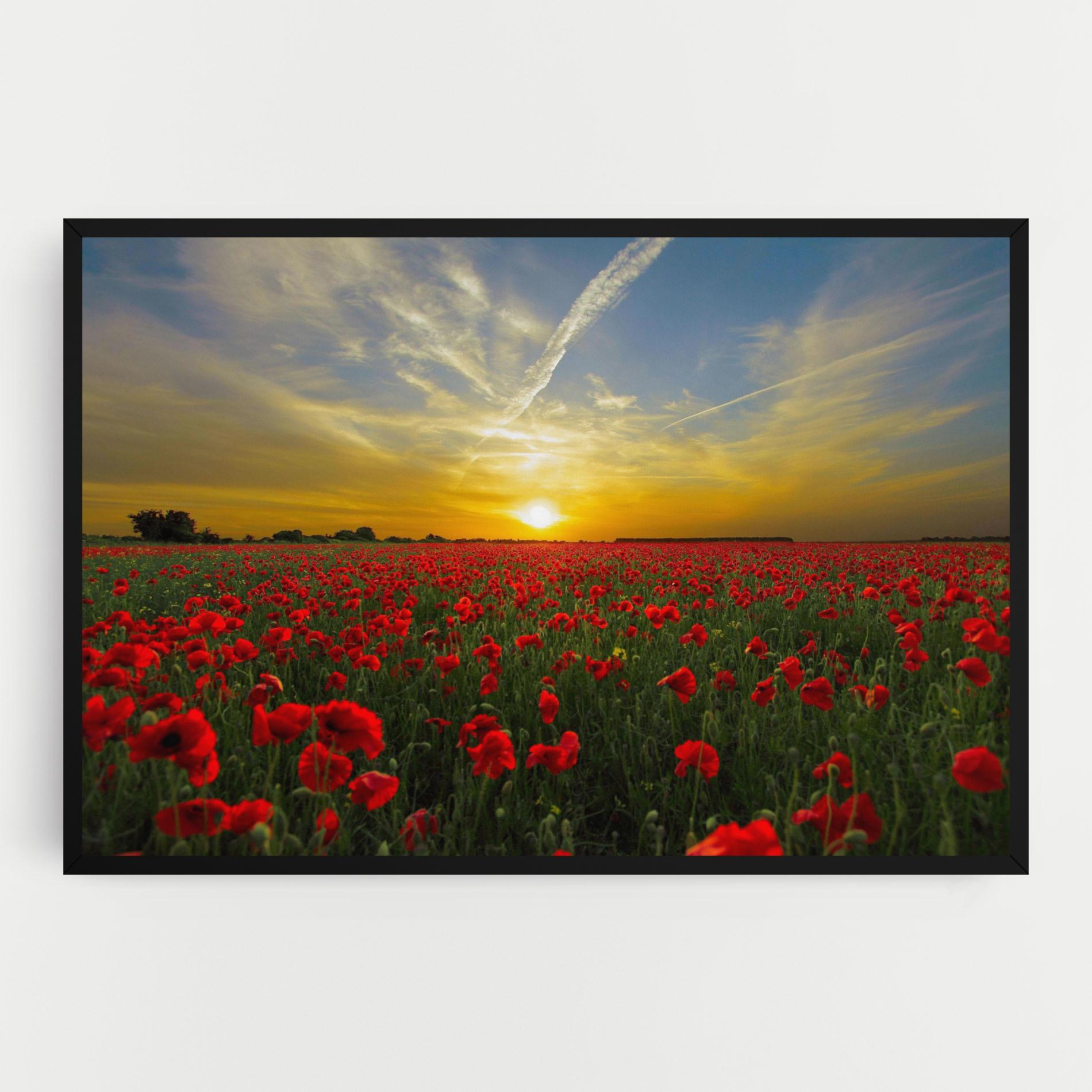 Tablou Canvas Poppies Sunset mockup 0