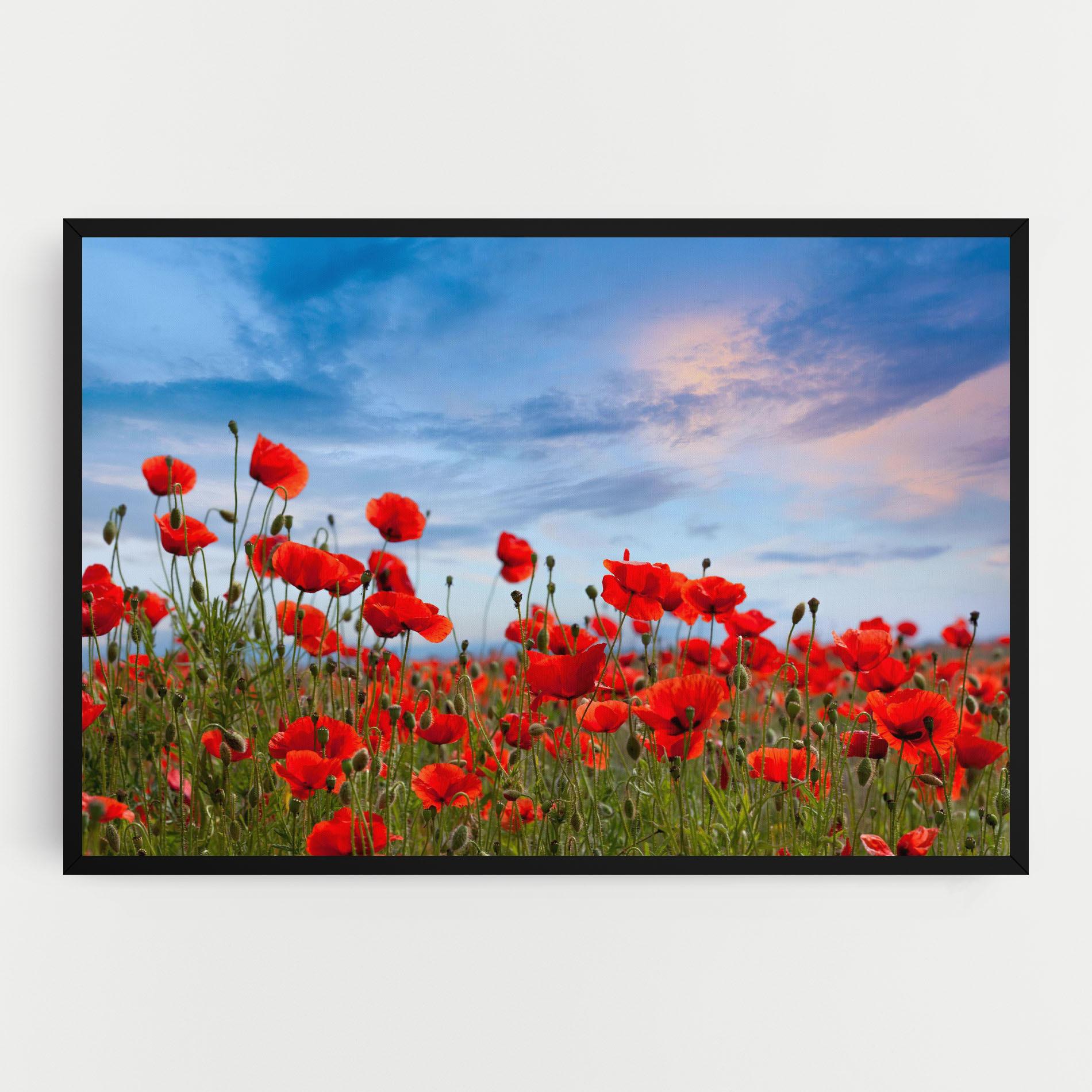 Tablou Canvas Poppy Field mockup 0