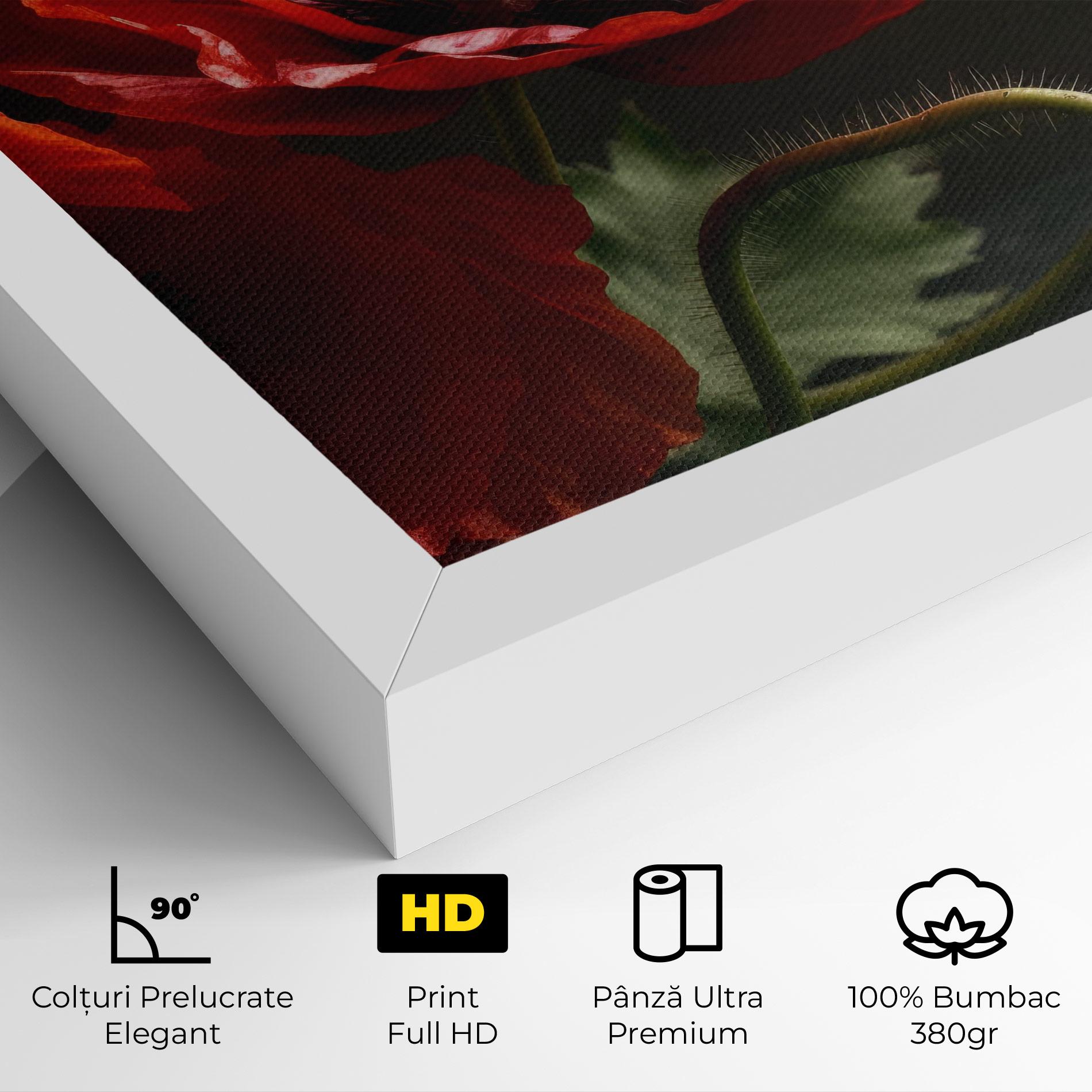 Tablou Canvas 3 Pretty Poppies mockup 4