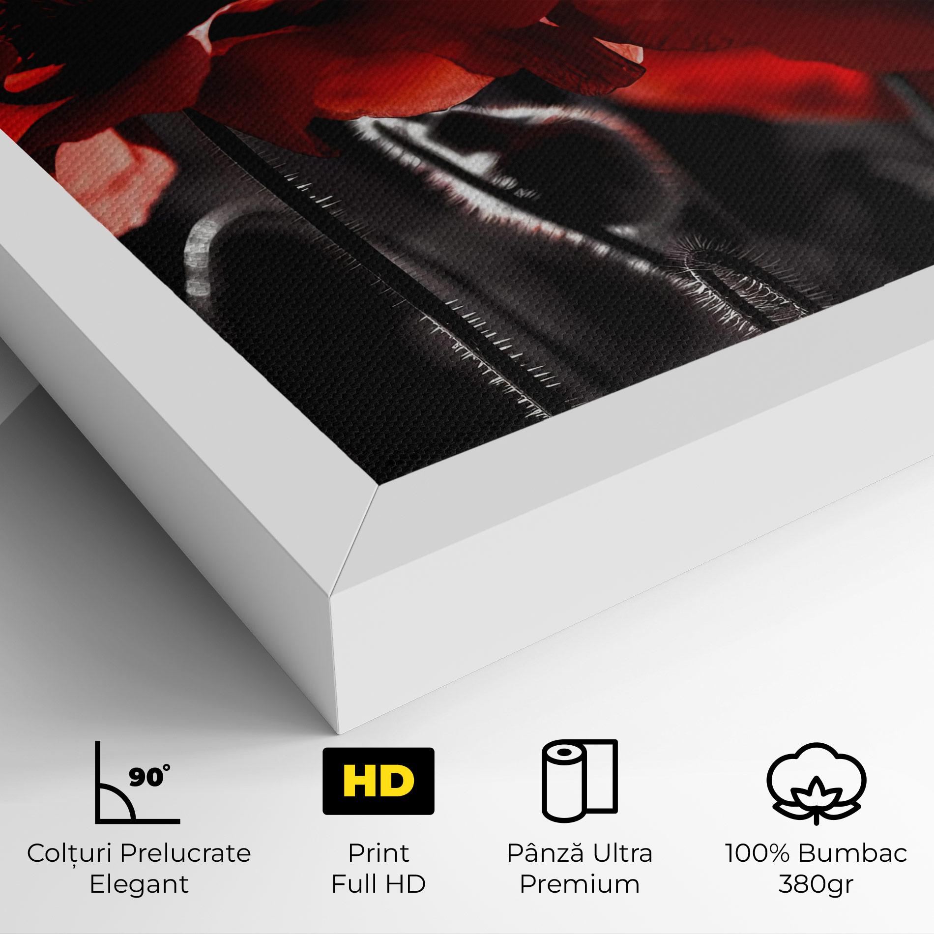 Tablou Canvas Light Red Poppy On Black mockup 4