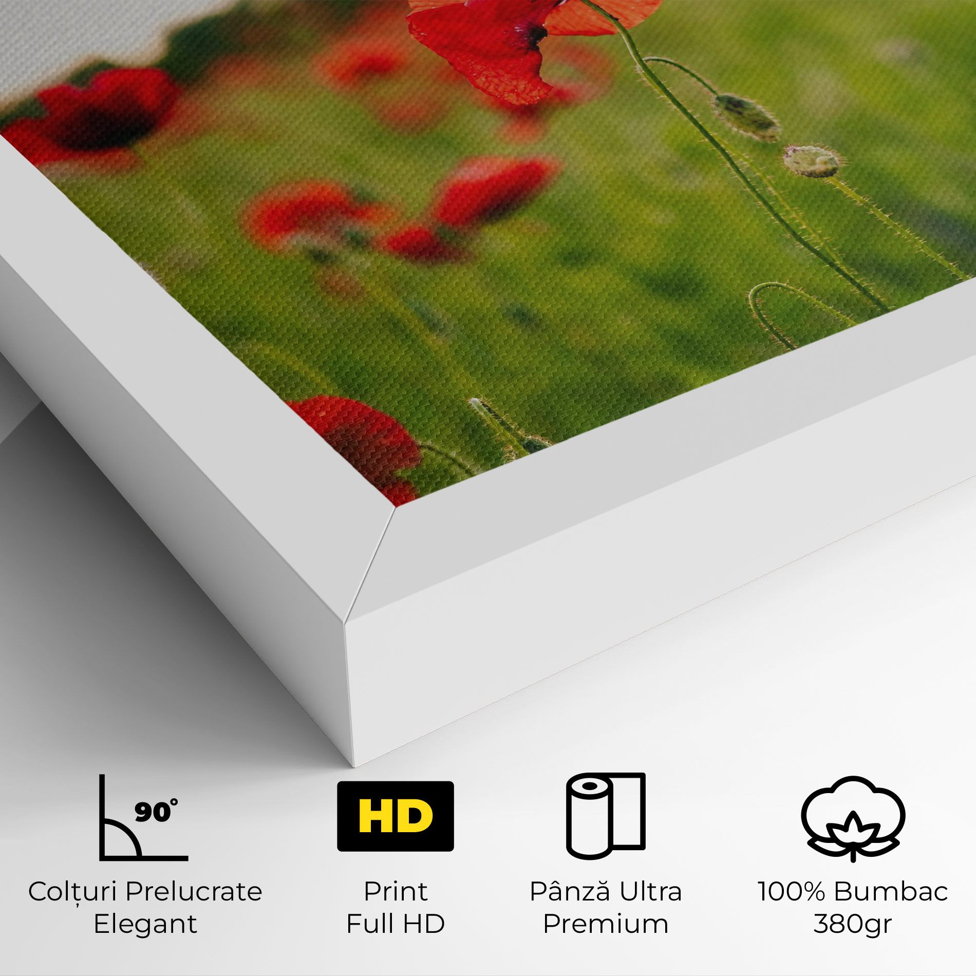 Poppies Field mockup 4
