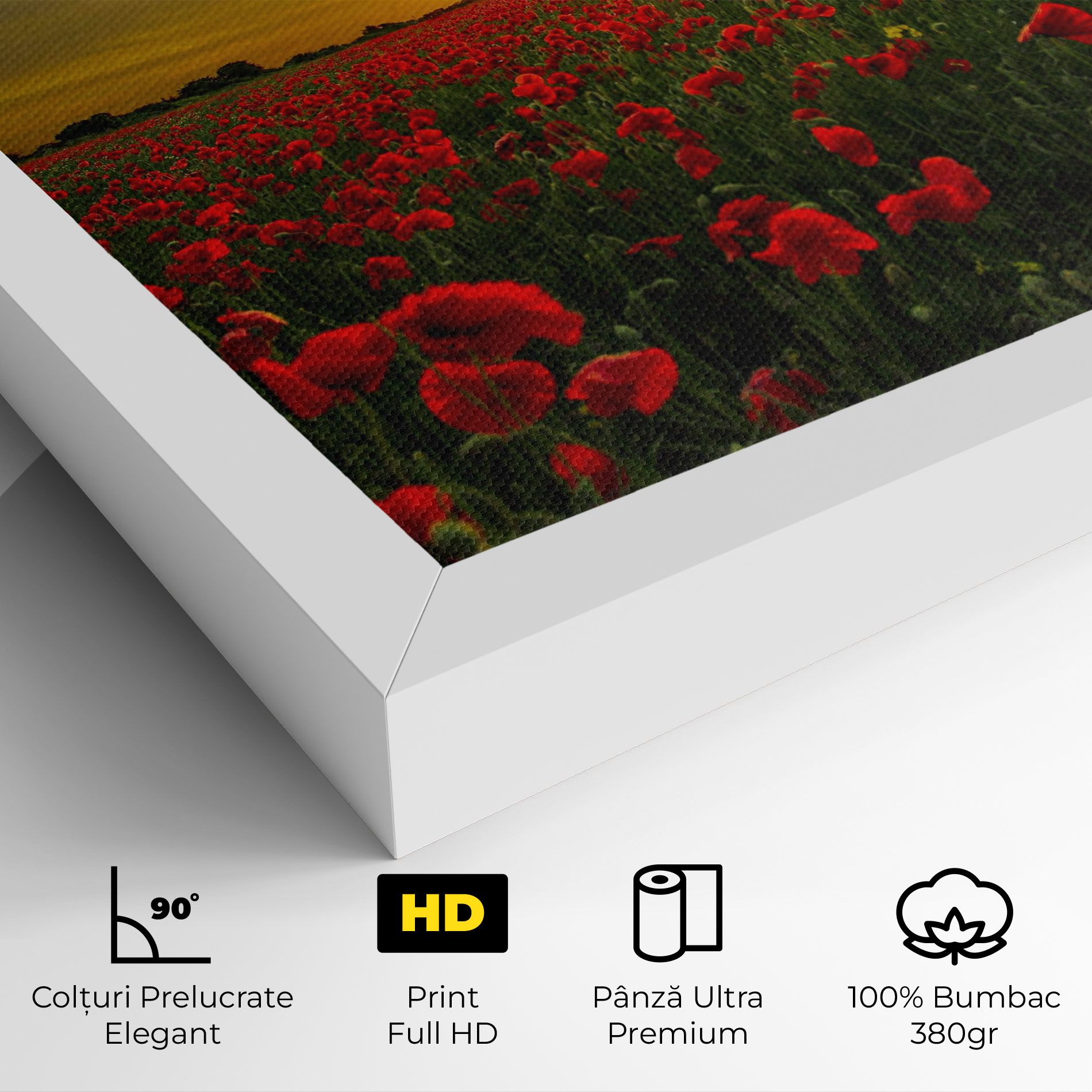 Poppies Sunset mockup 4