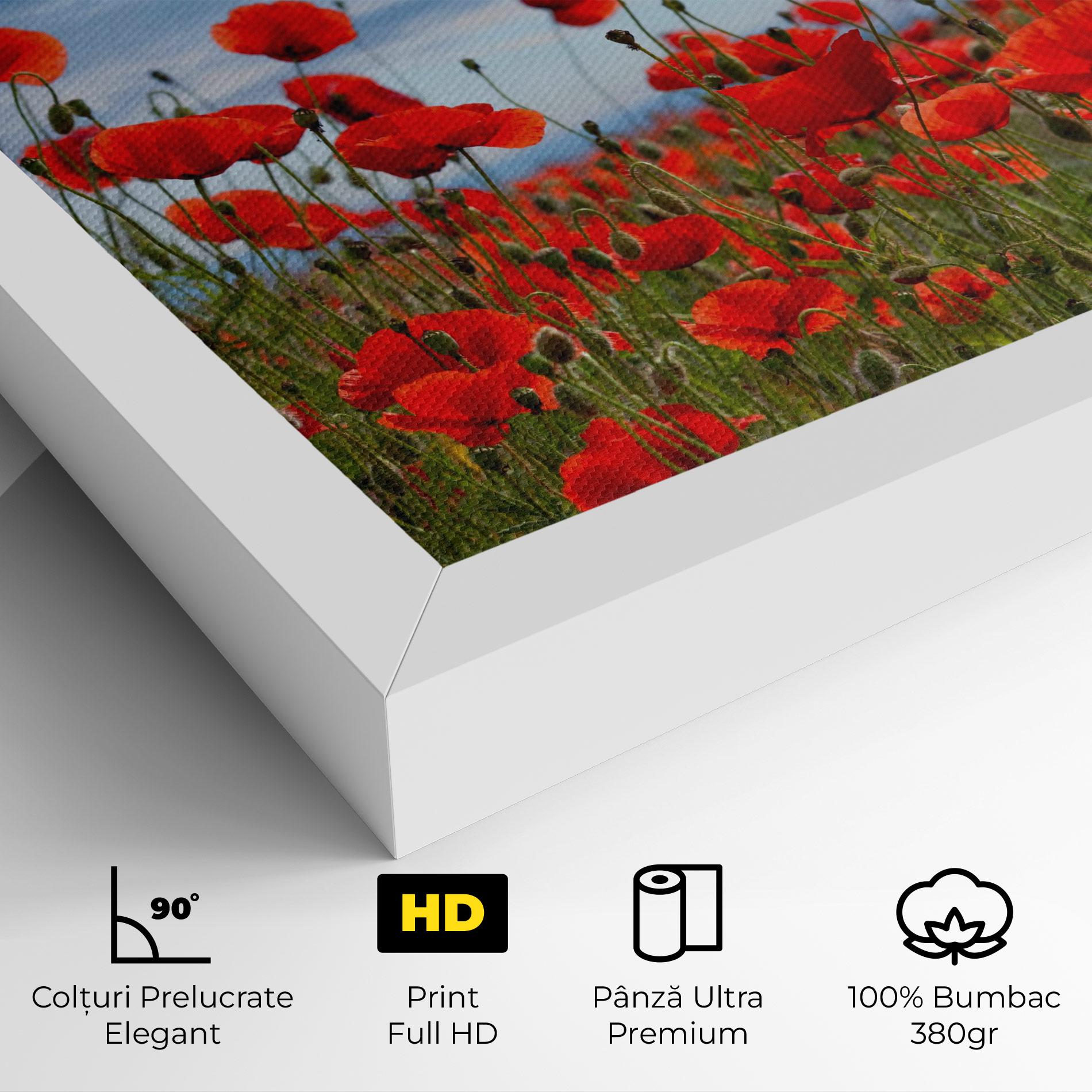 Tablou Canvas Poppy Field mockup 4