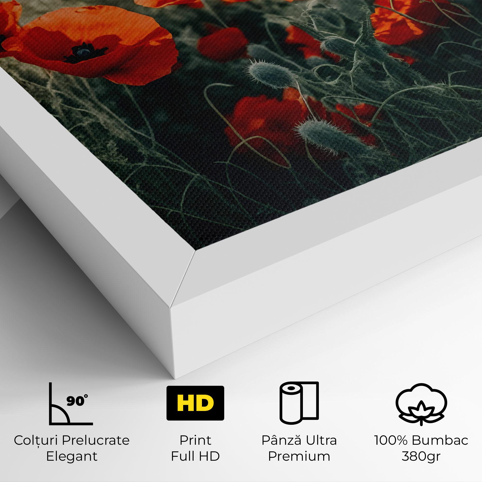 Tablou Canvas Poppy Grass Field mockup 4