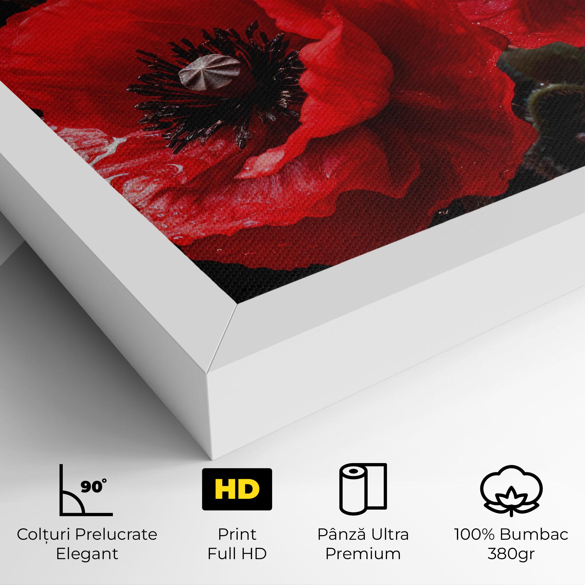 Tablou Canvas Red Poppy mockup 4