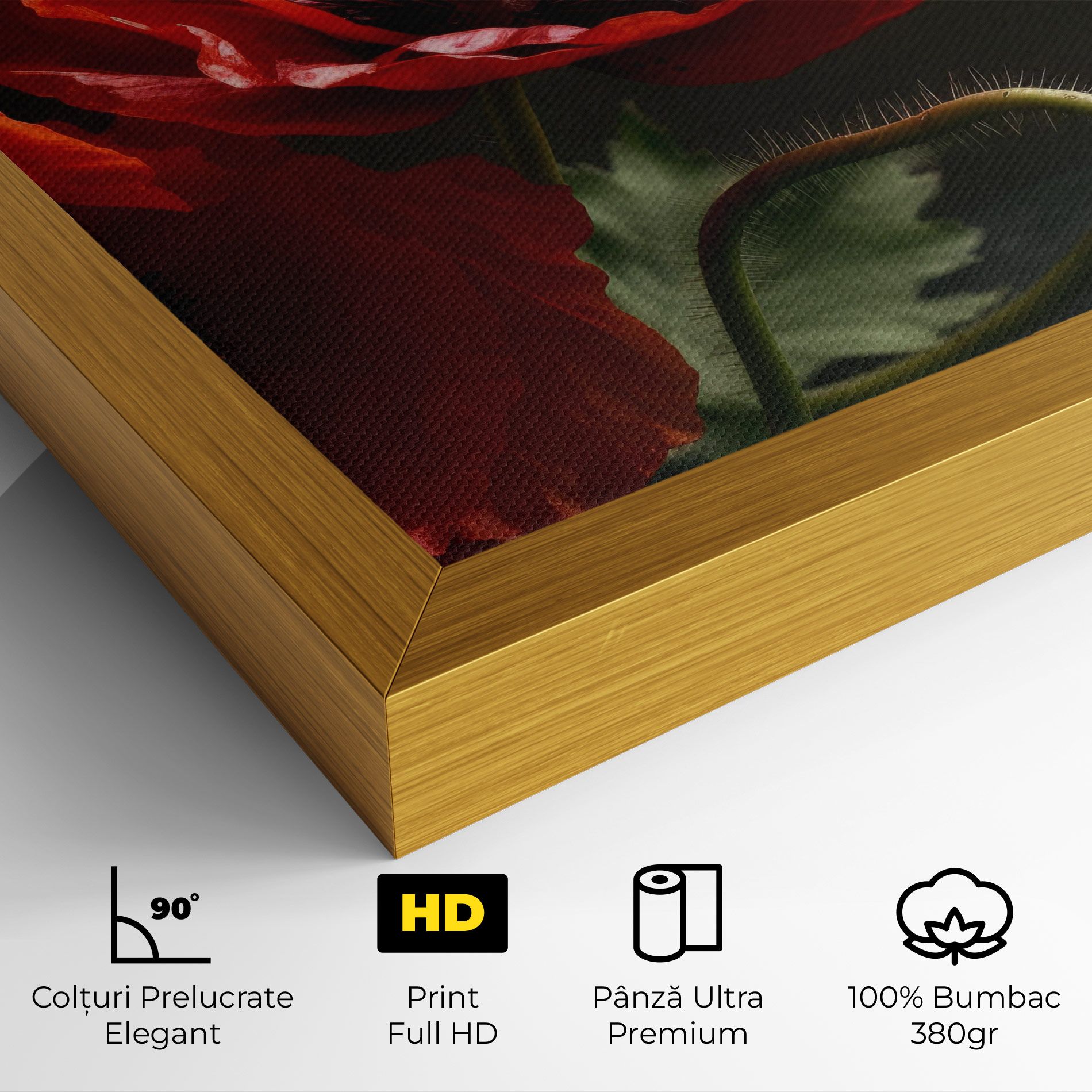 3 Pretty Poppies mockup 4