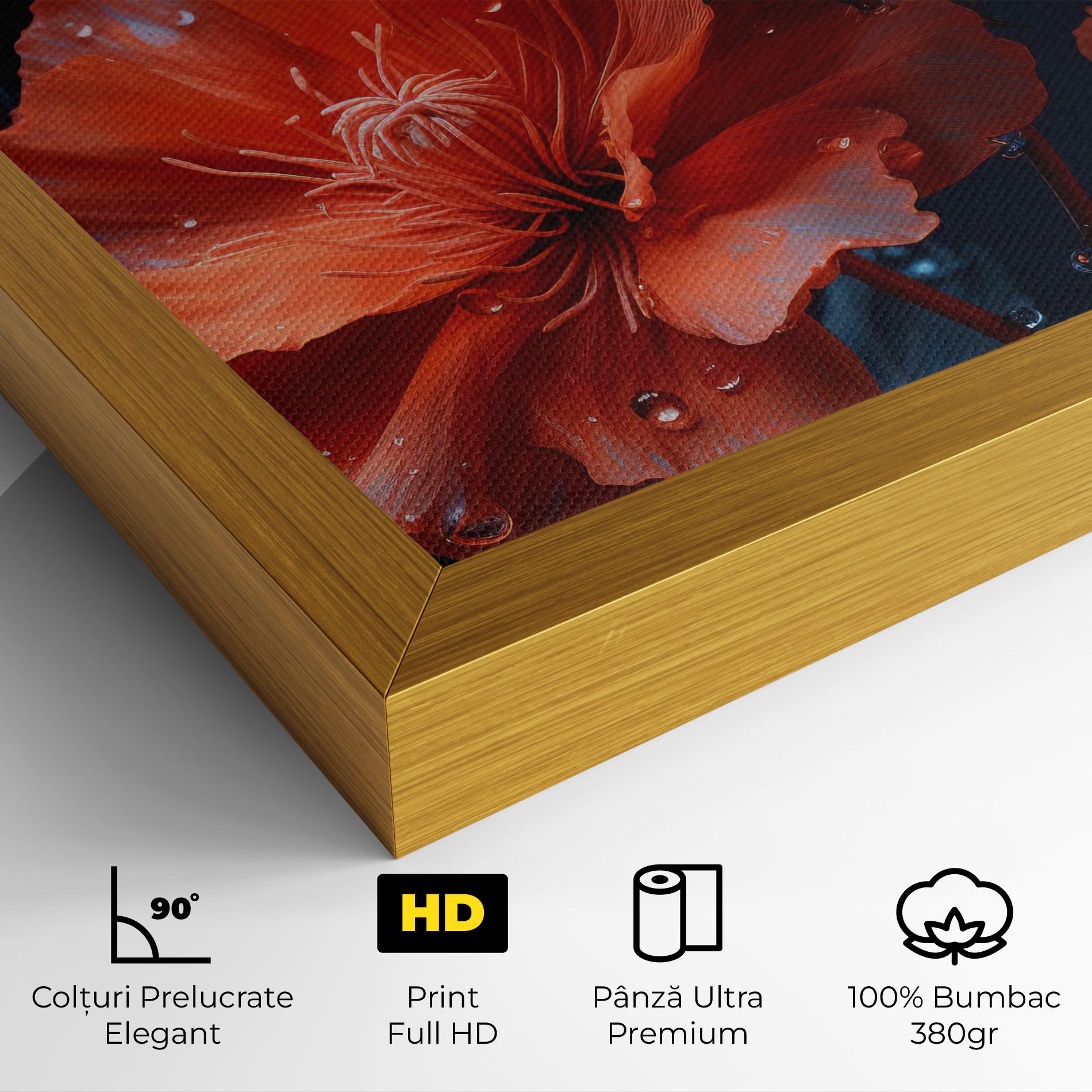 Orange Poppy mockup 4