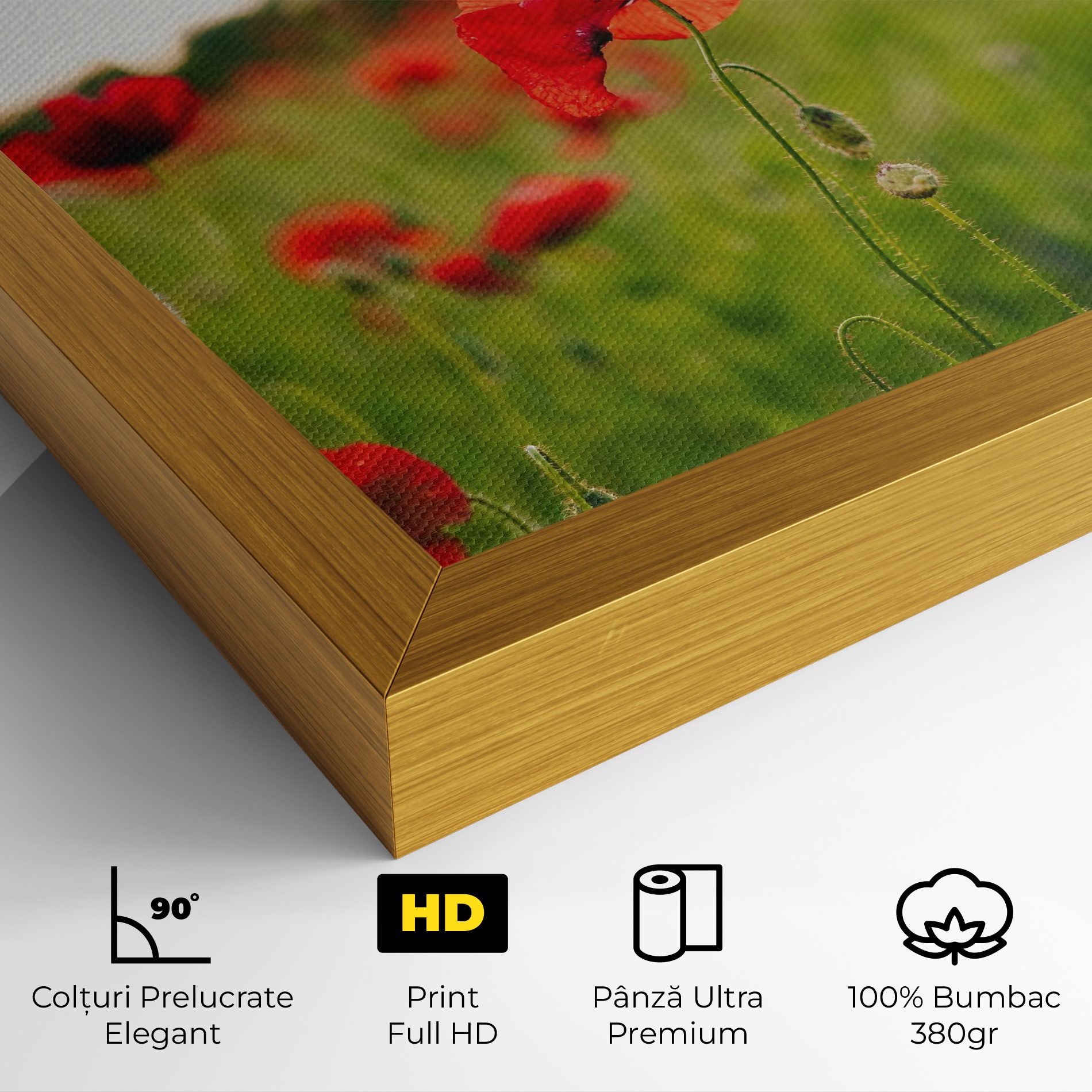 Poppies Field mockup 4