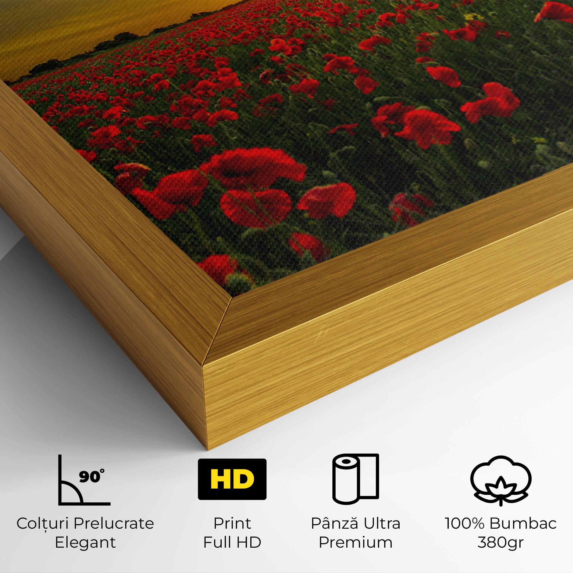 Tablou Canvas Poppies Sunset mockup 4
