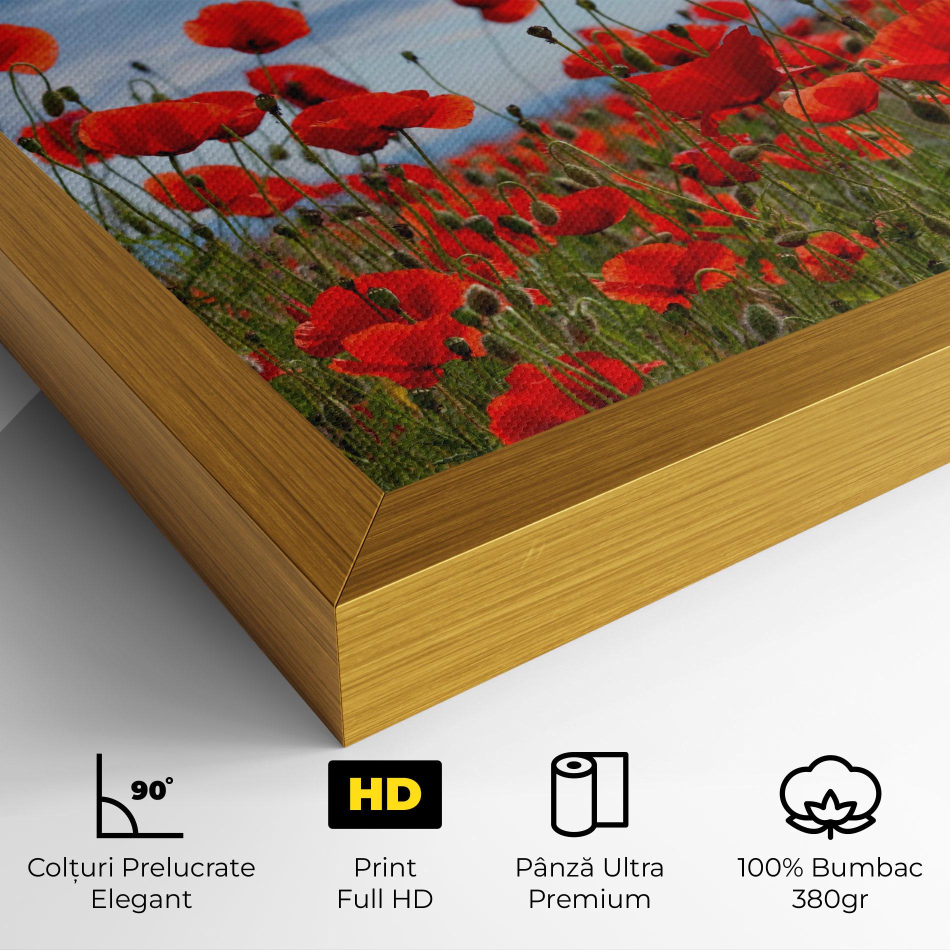Tablou Canvas Poppy Field mockup 4