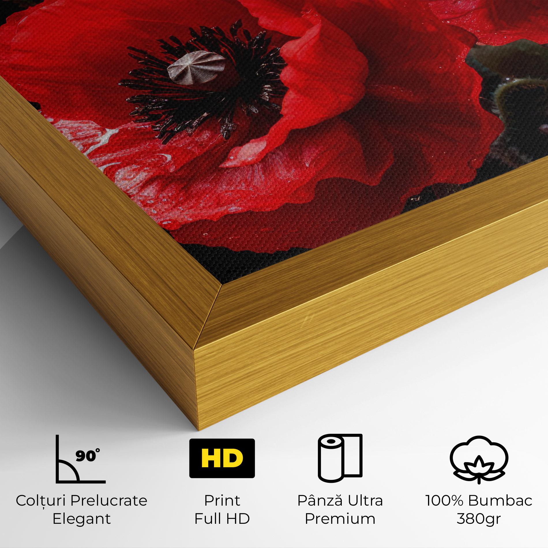 Tablou Canvas Red Poppy mockup 4