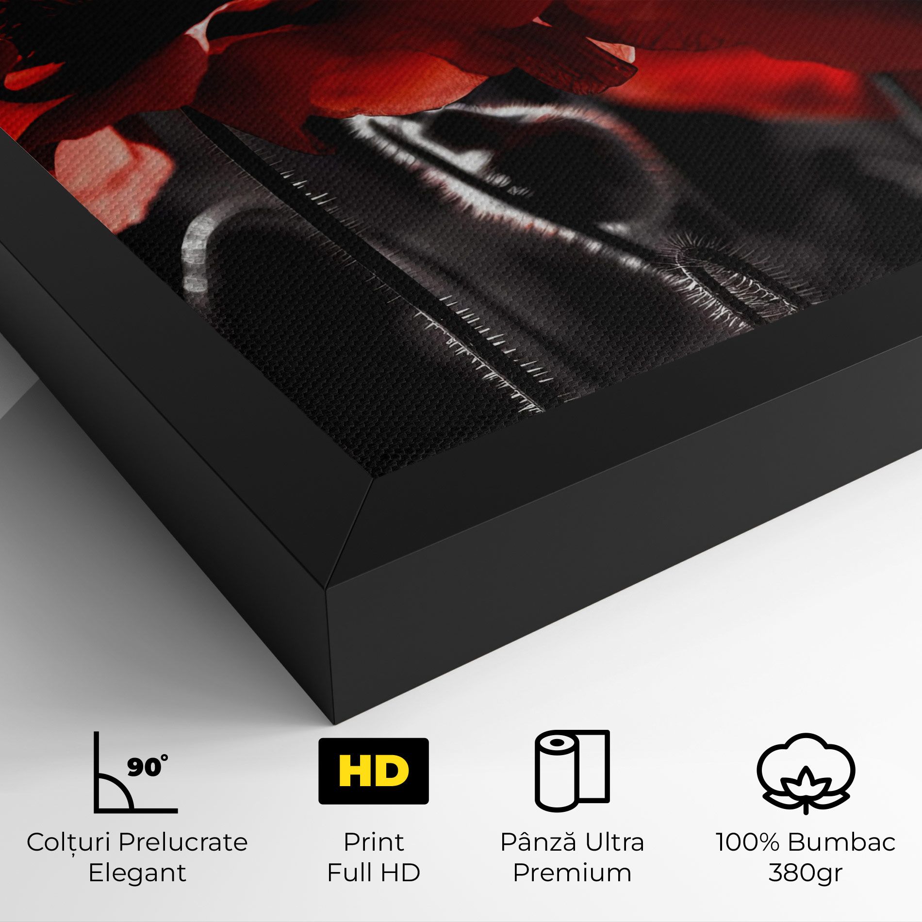 Light Red Poppy On Black mockup 4