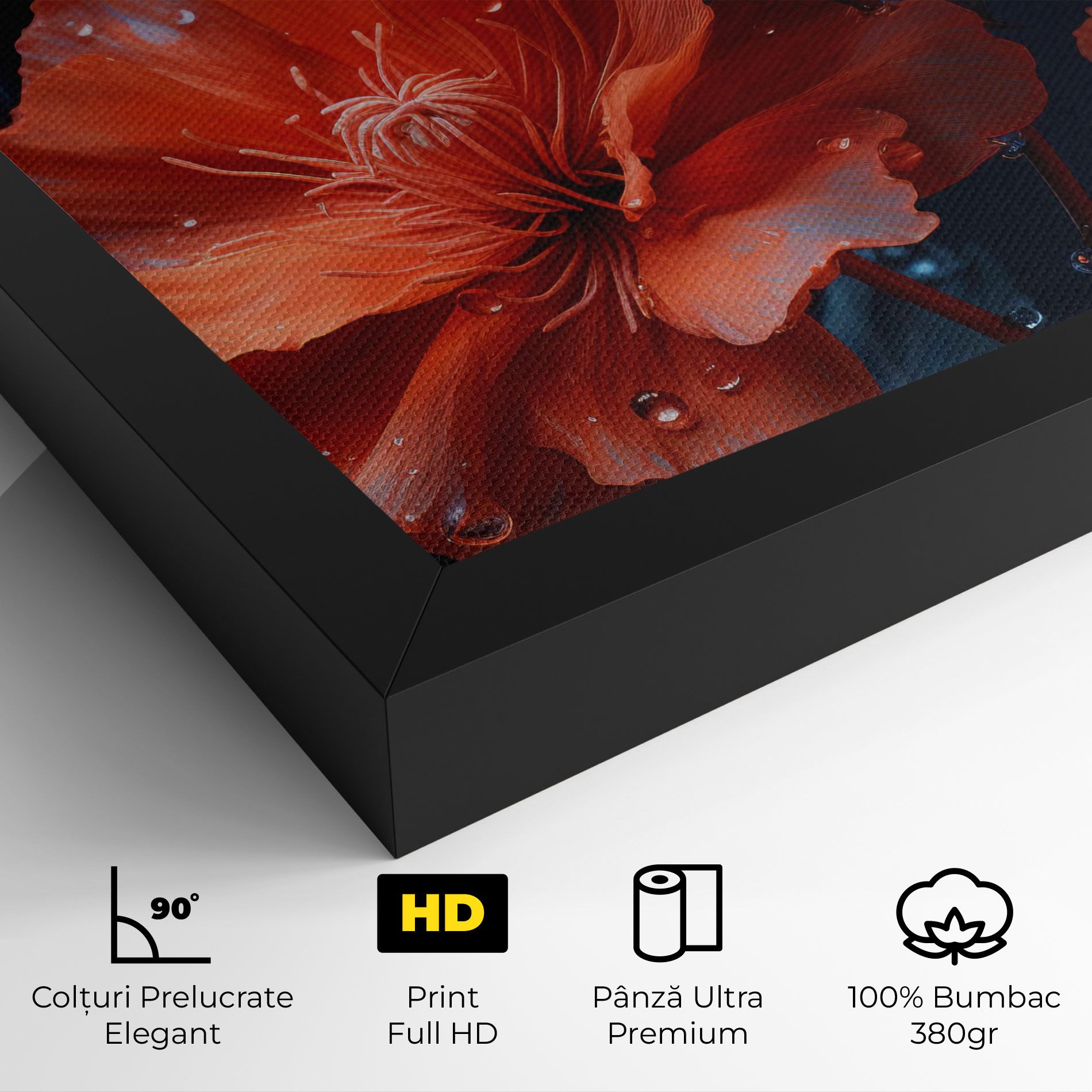 Orange Poppy mockup 4