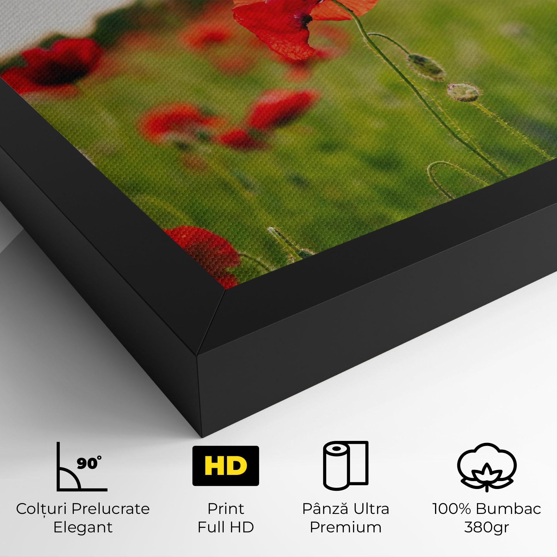 Tablou Canvas Poppies Field mockup 4