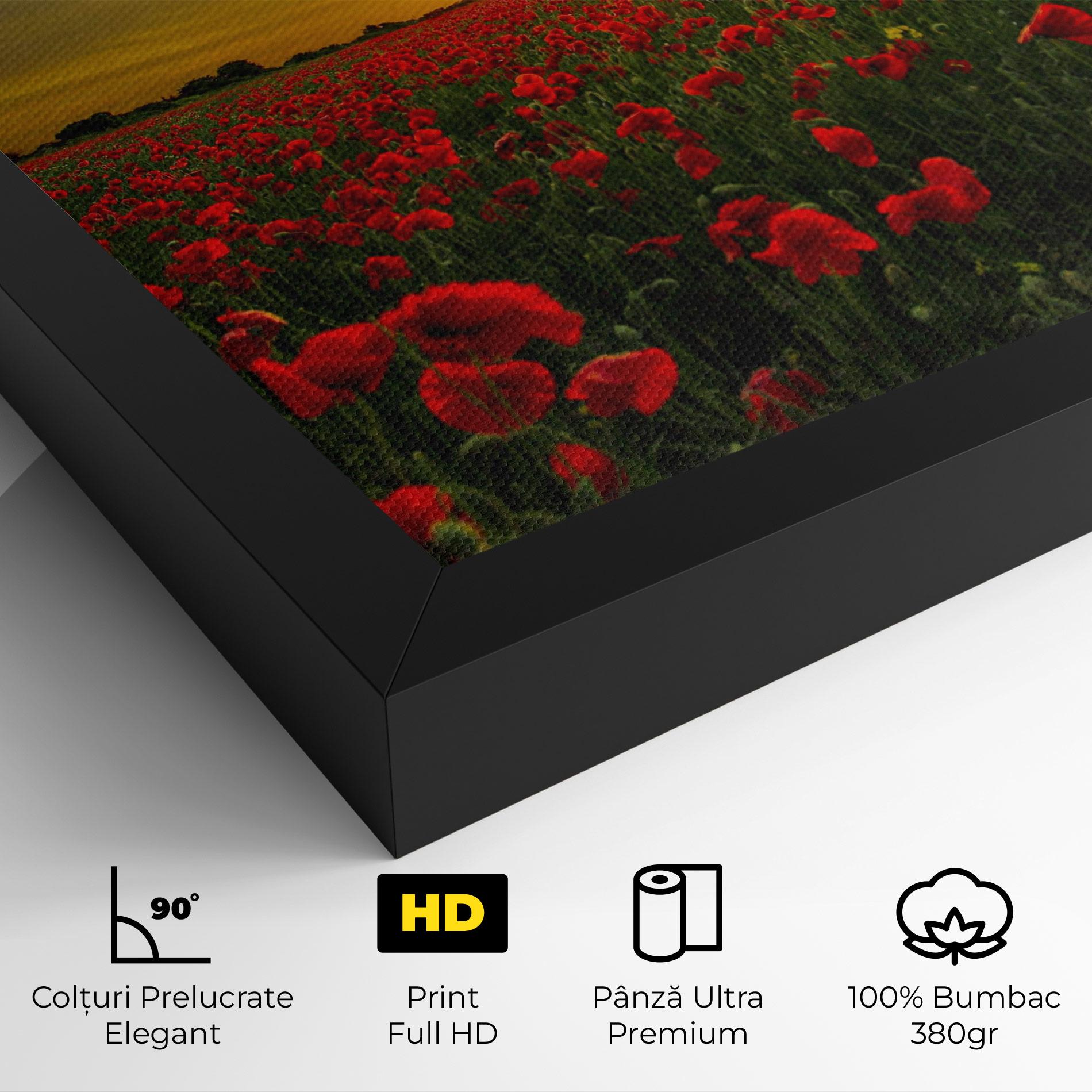 Tablou Canvas Poppies Sunset mockup 4