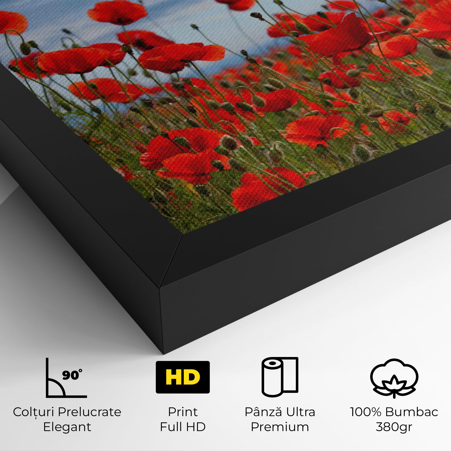 Tablou Canvas Poppy Field mockup 4