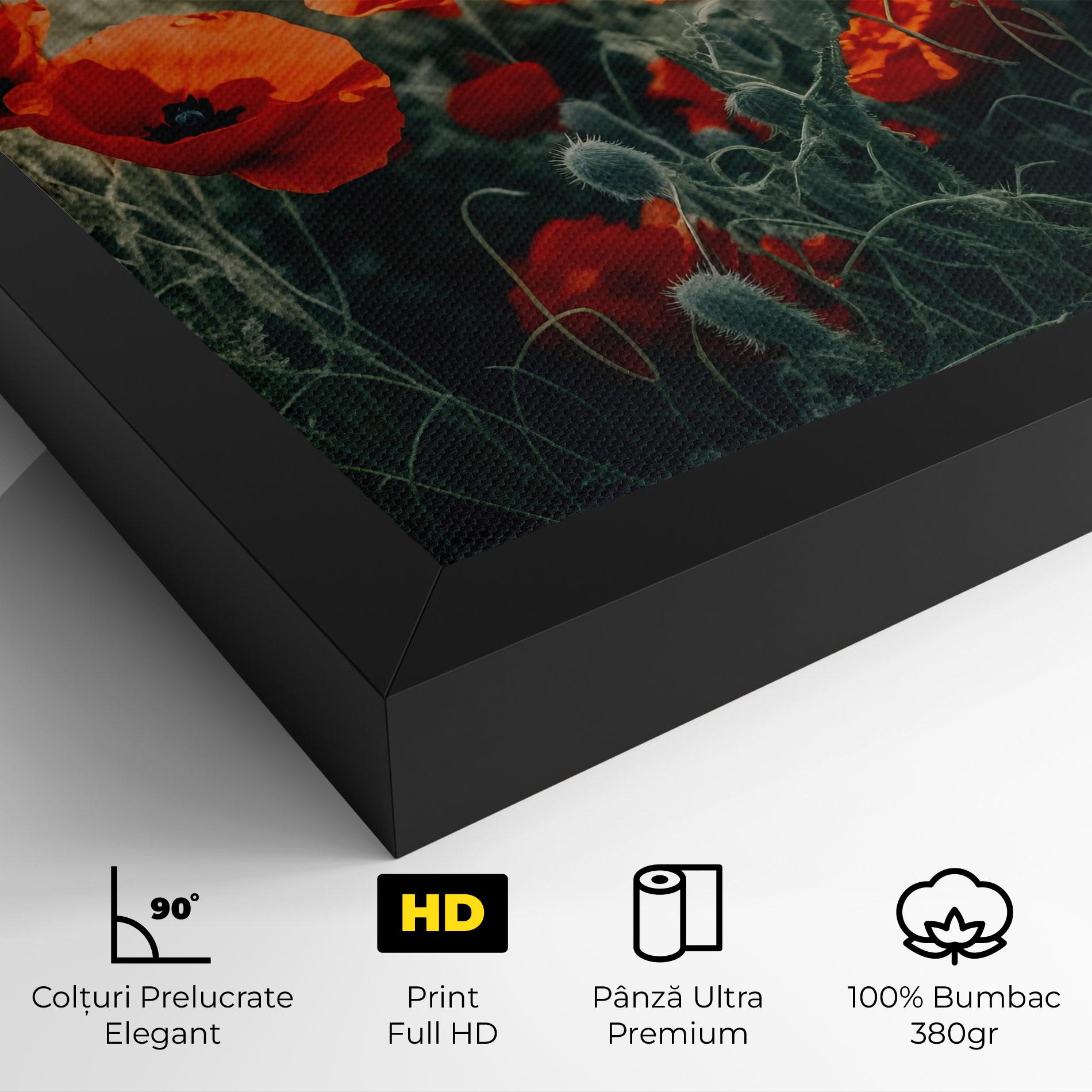 Tablou Canvas Poppy Grass Field mockup 4