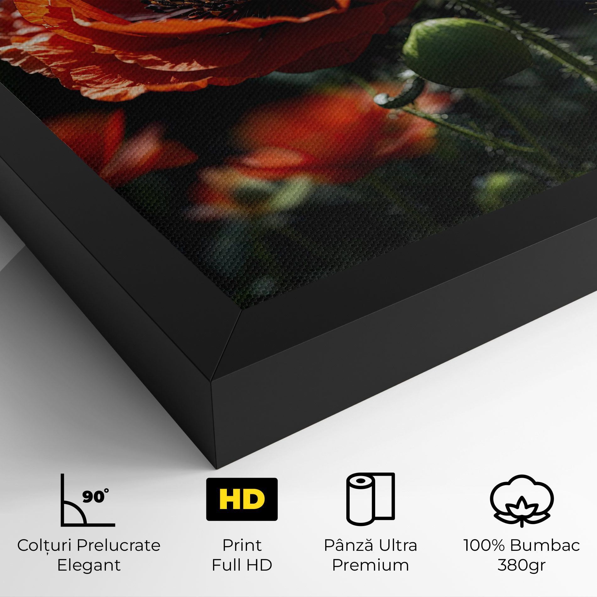 Red Poppy Close Up mockup 4