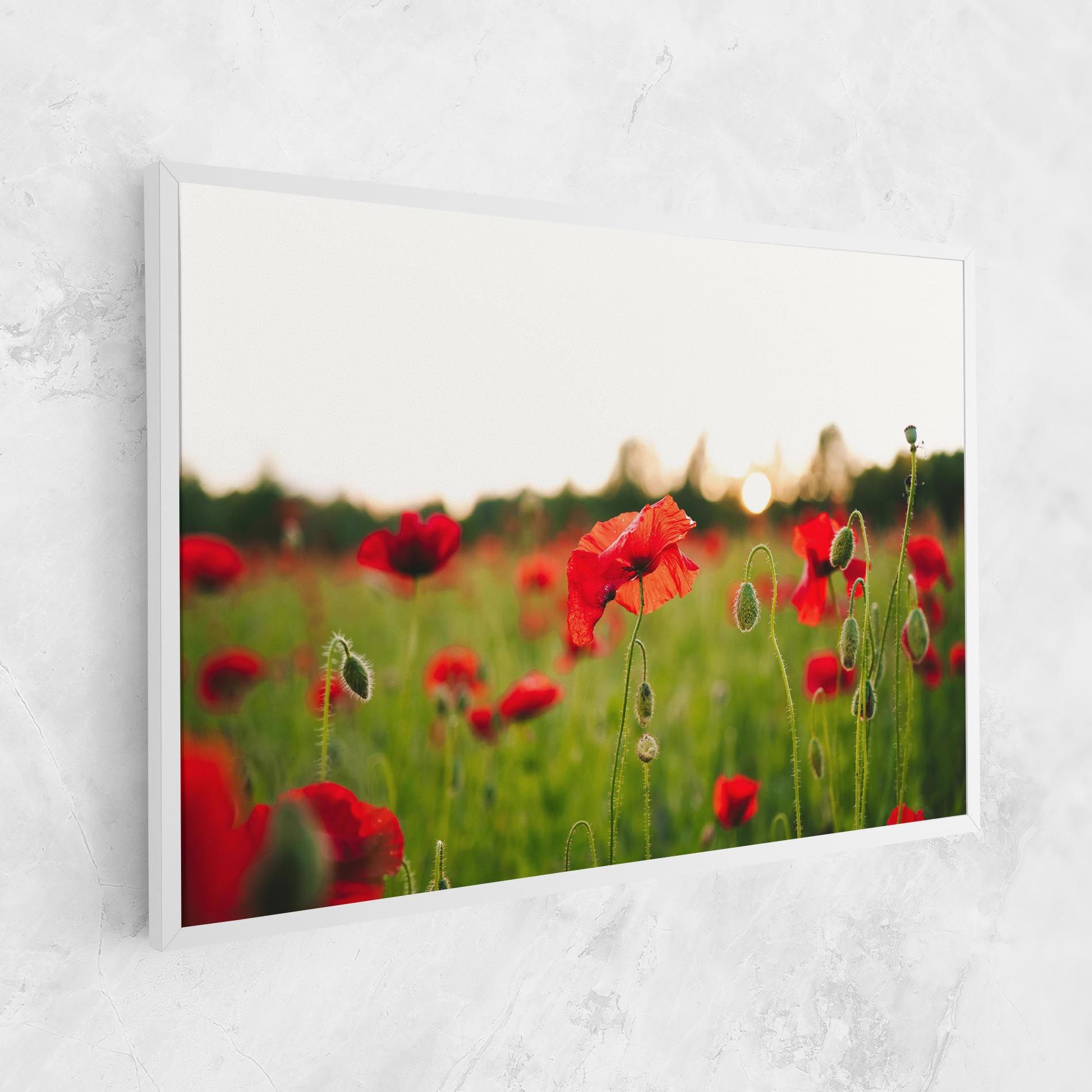 Poppies Field mockup 1