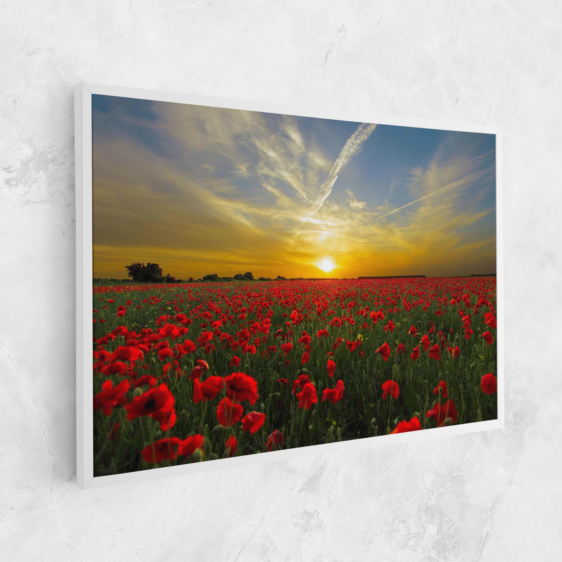 Tablou Canvas Poppies Sunset mockup 1
