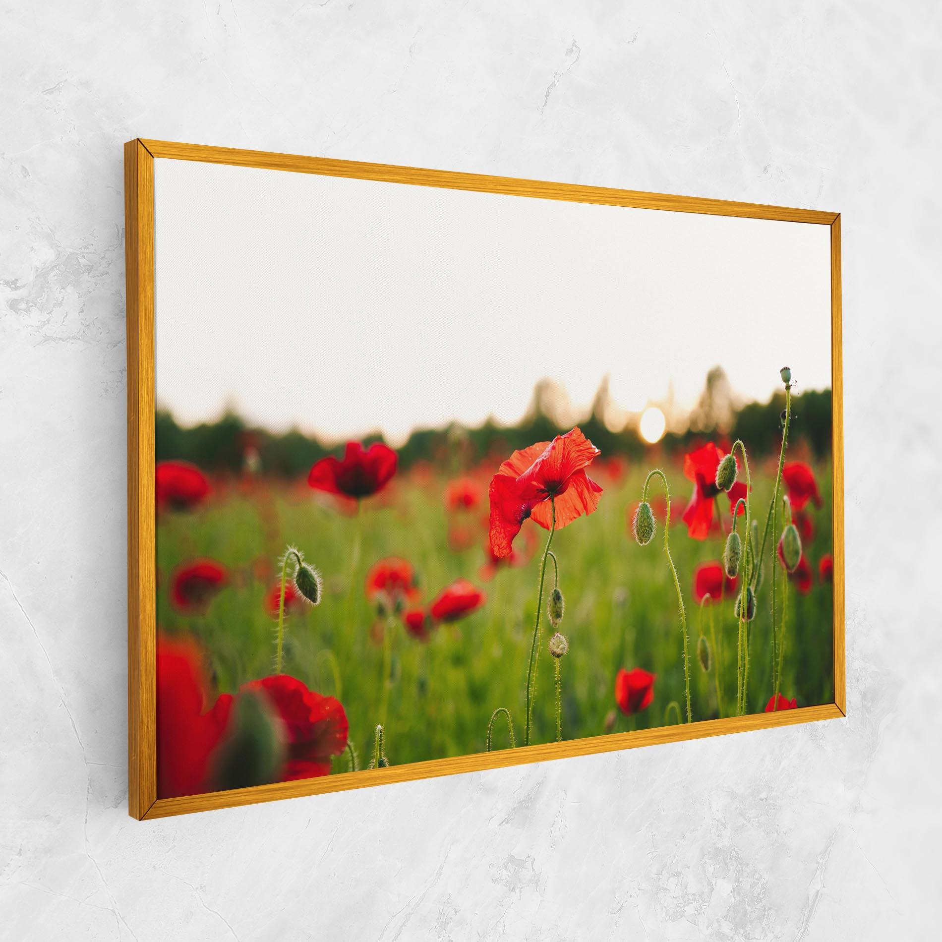 Tablou Canvas Poppies Field mockup 1
