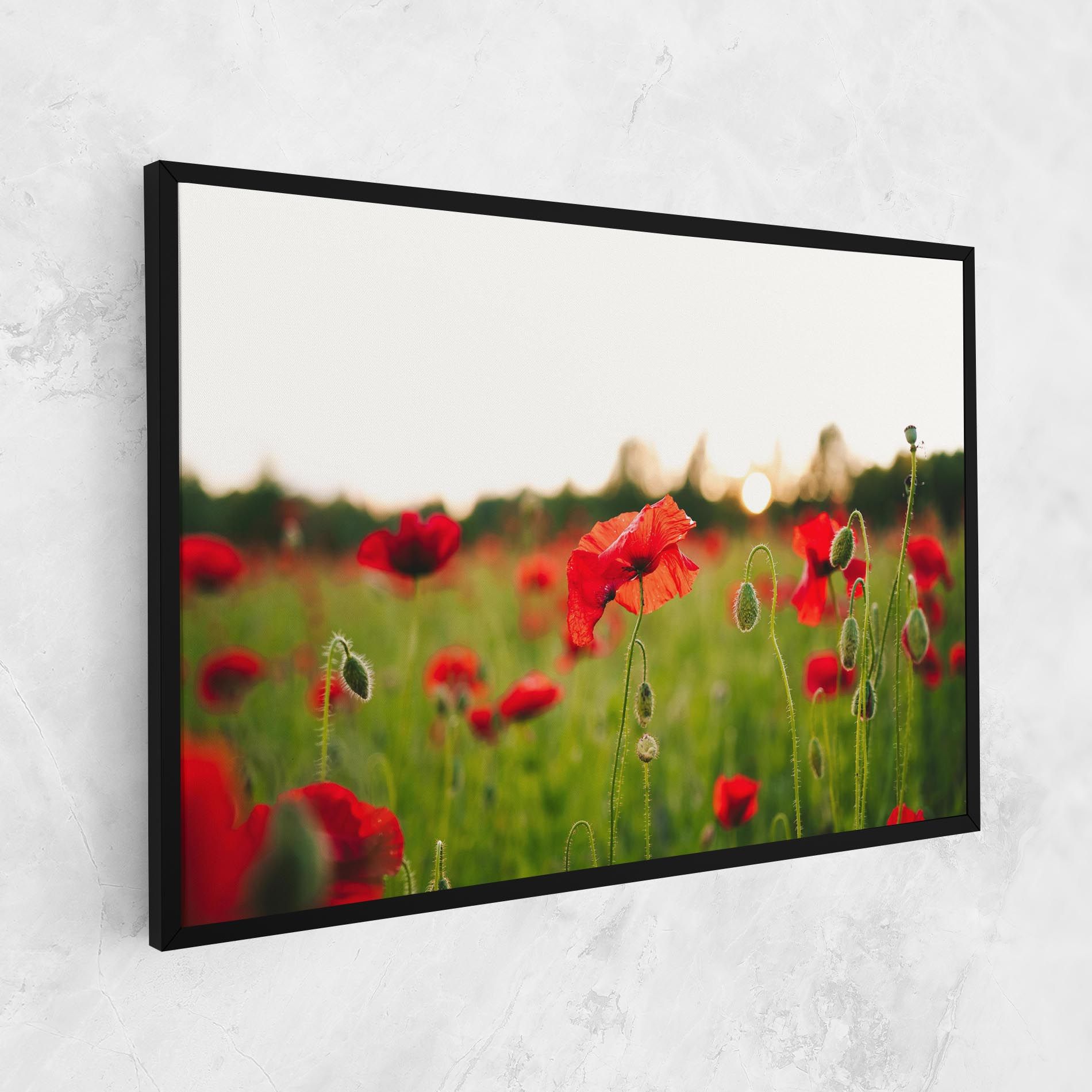 Poppies Field mockup 1