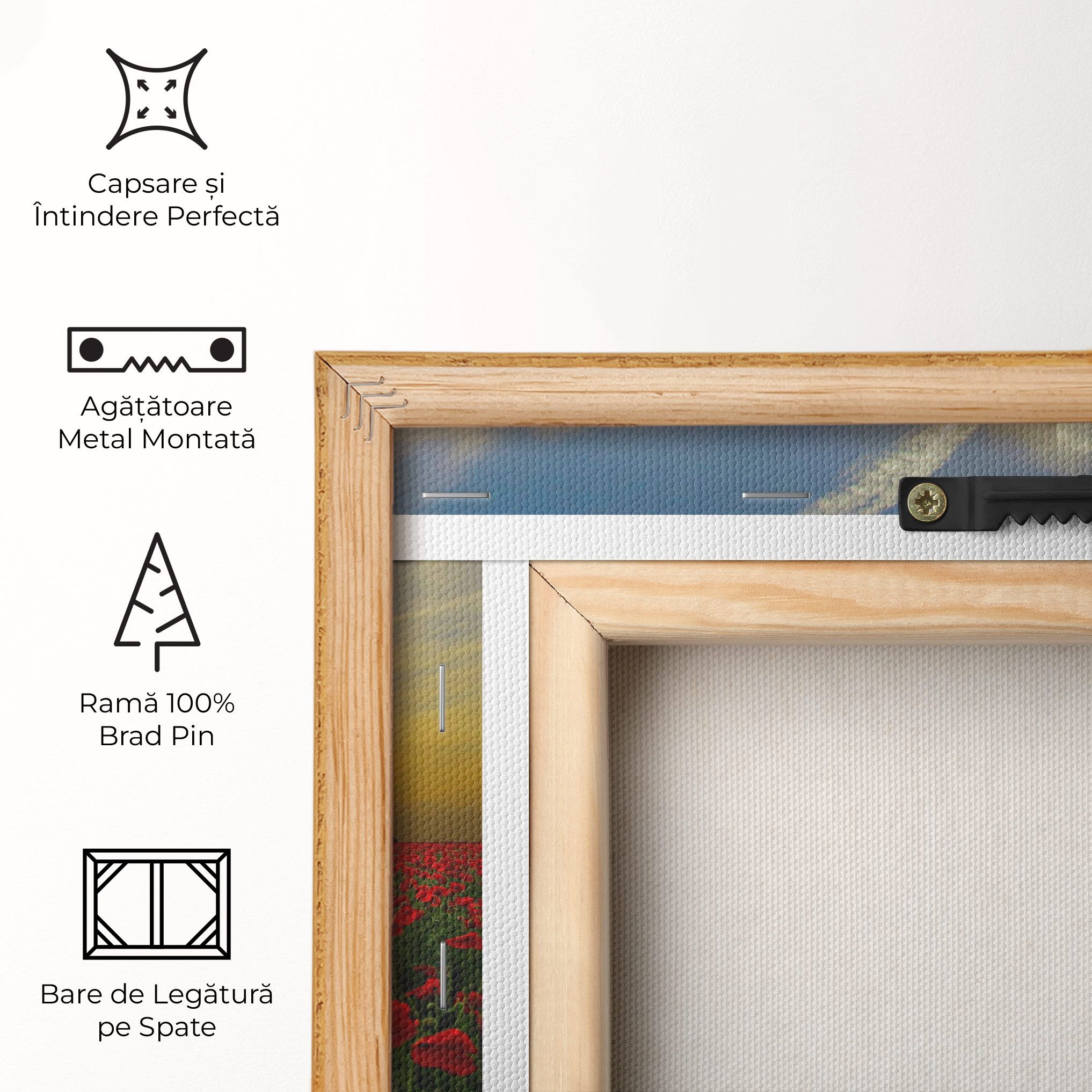 Poppies Sunset mockup 5