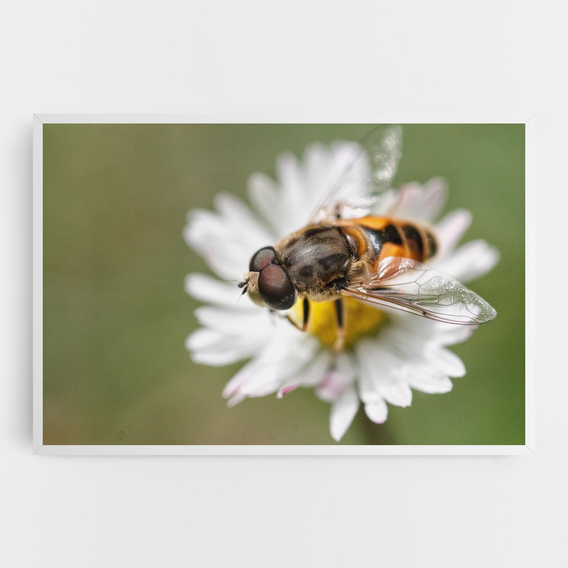 Bee On Small Daisy mockup 0