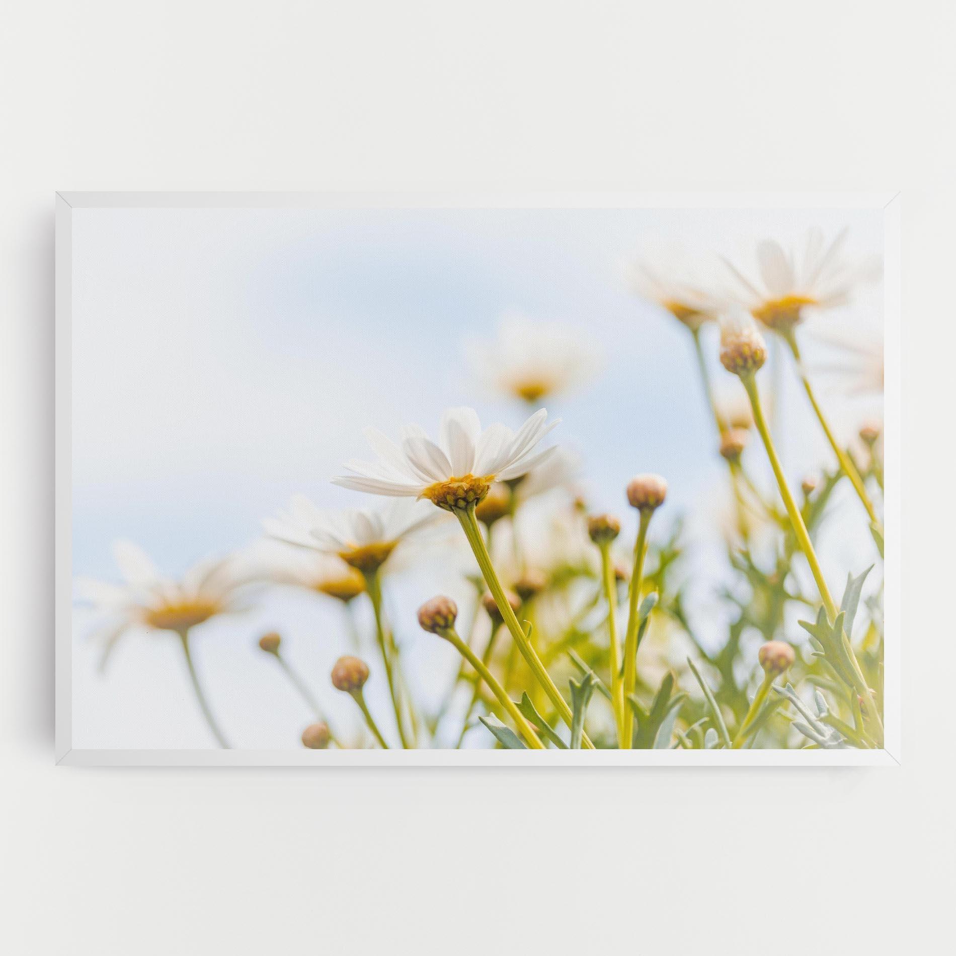 Tablou Canvas Dreamy Daisy mockup 0