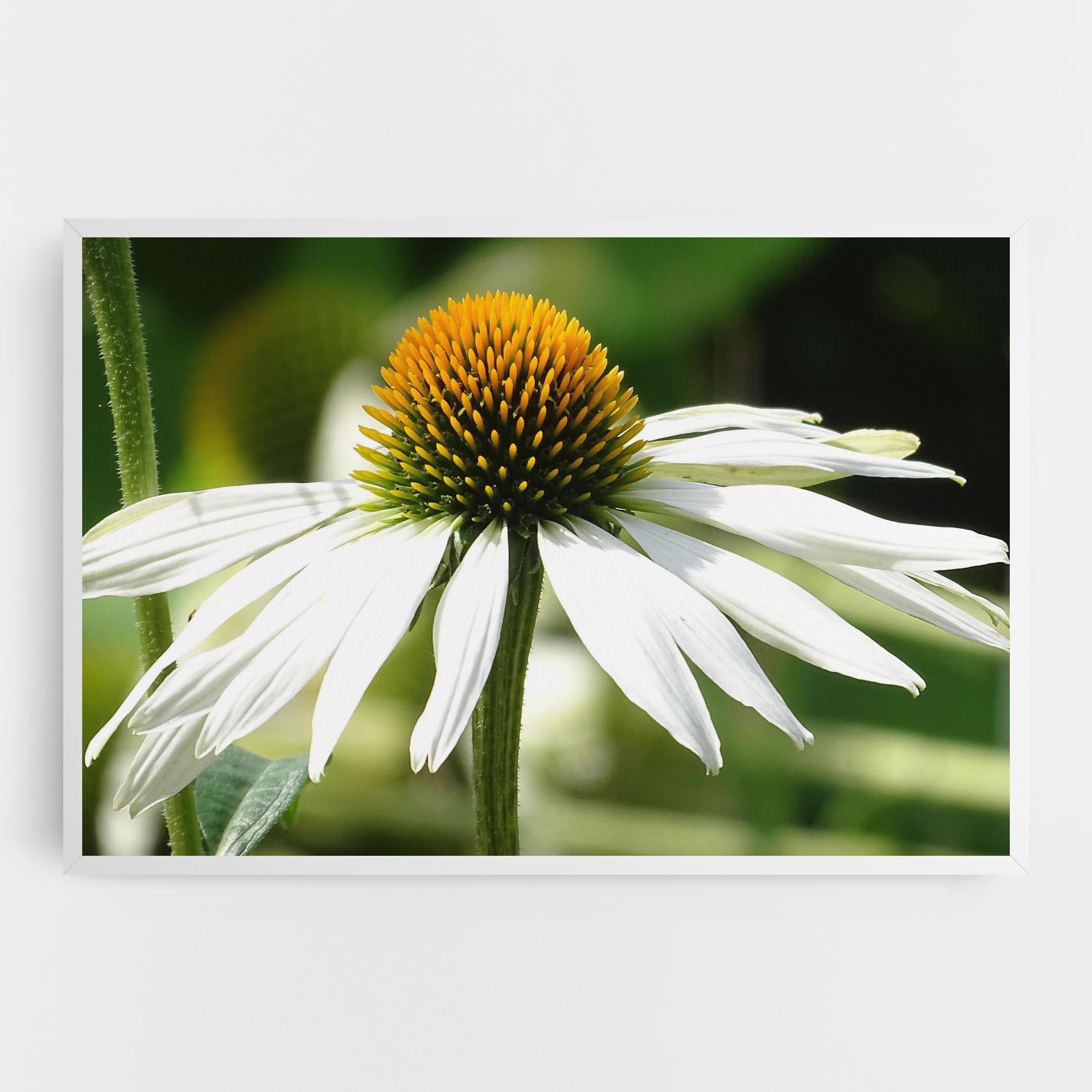 Tablou Canvas Green Daisy mockup 0