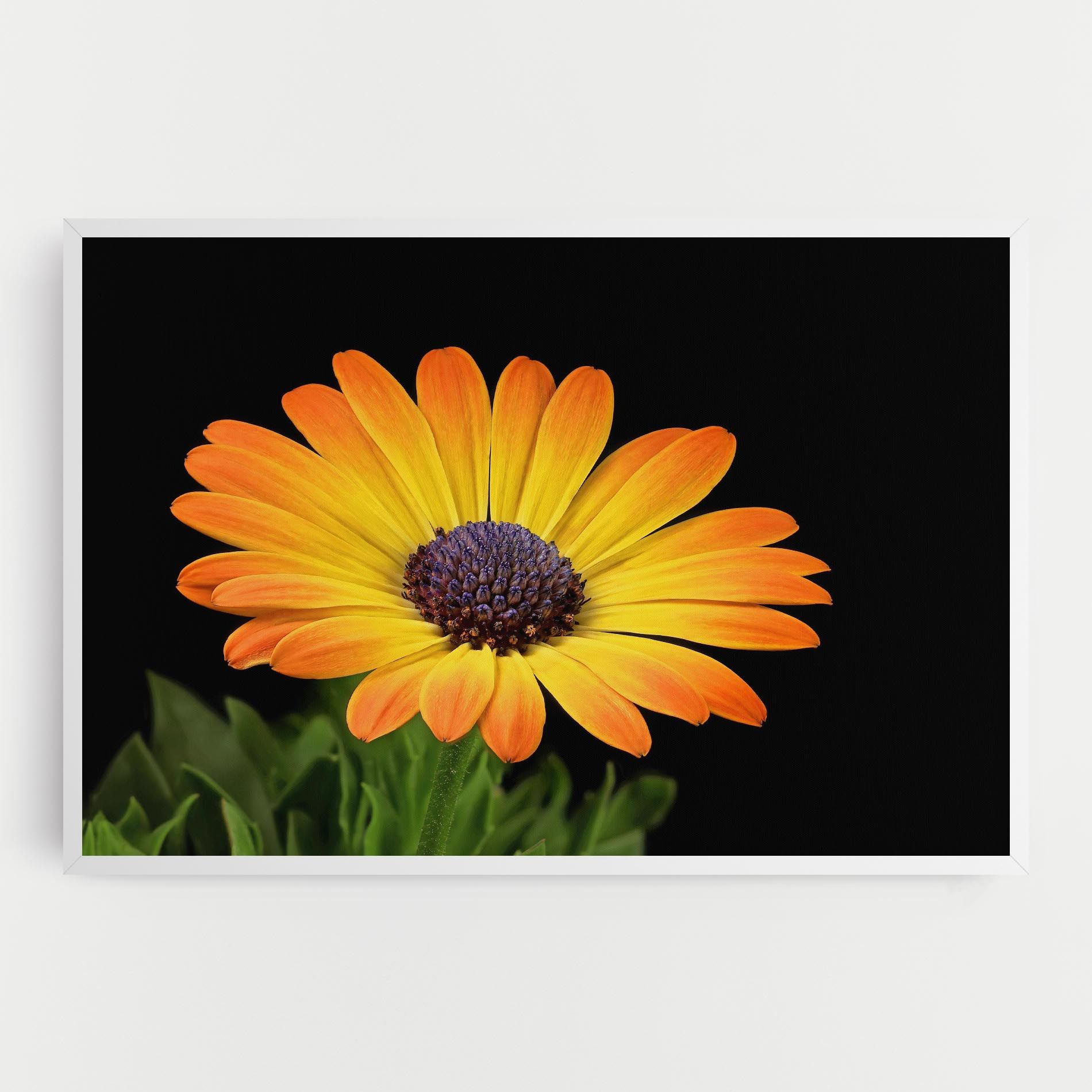 Yellow Daisy mockup 0