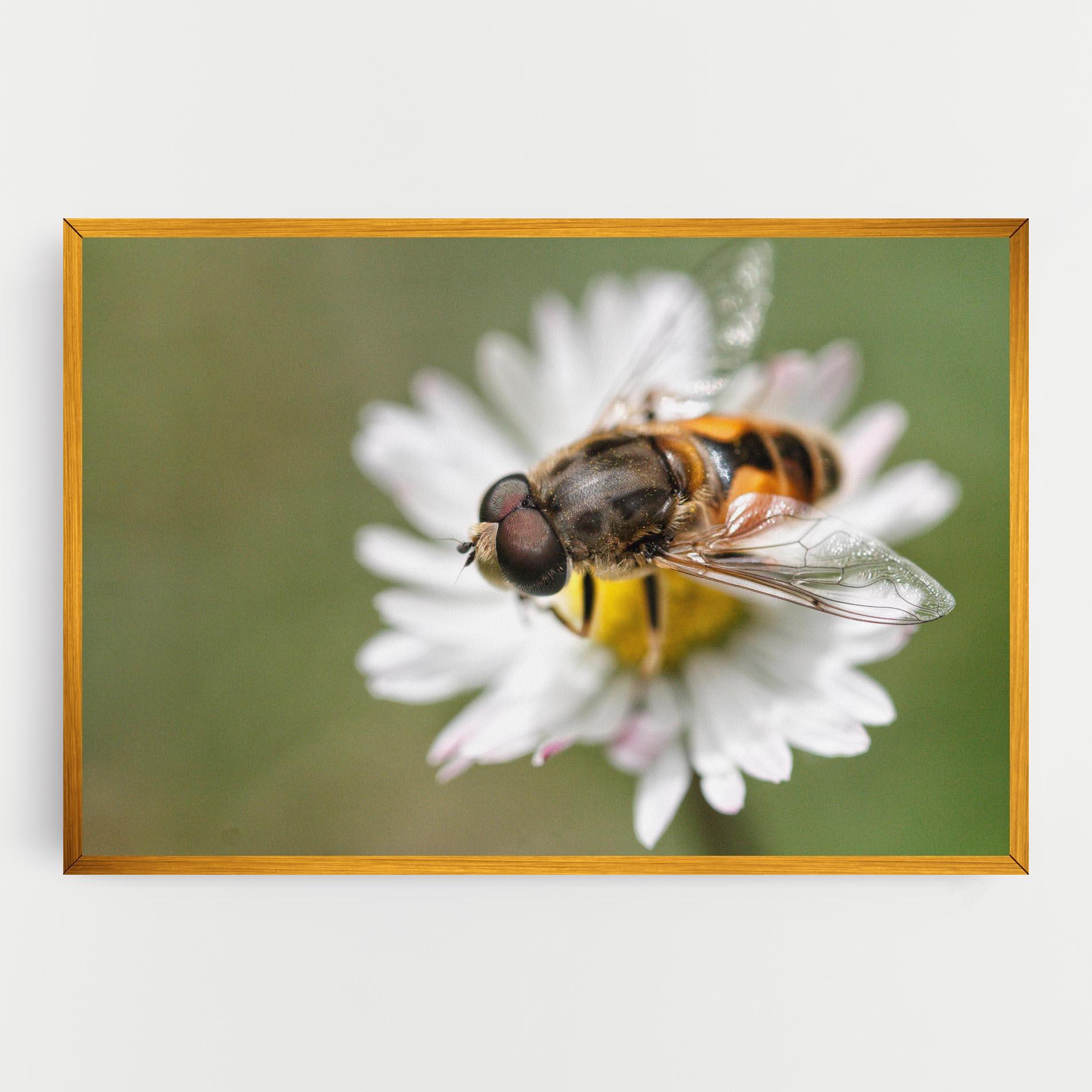 Tablou Canvas Bee On Small Daisy mockup 0