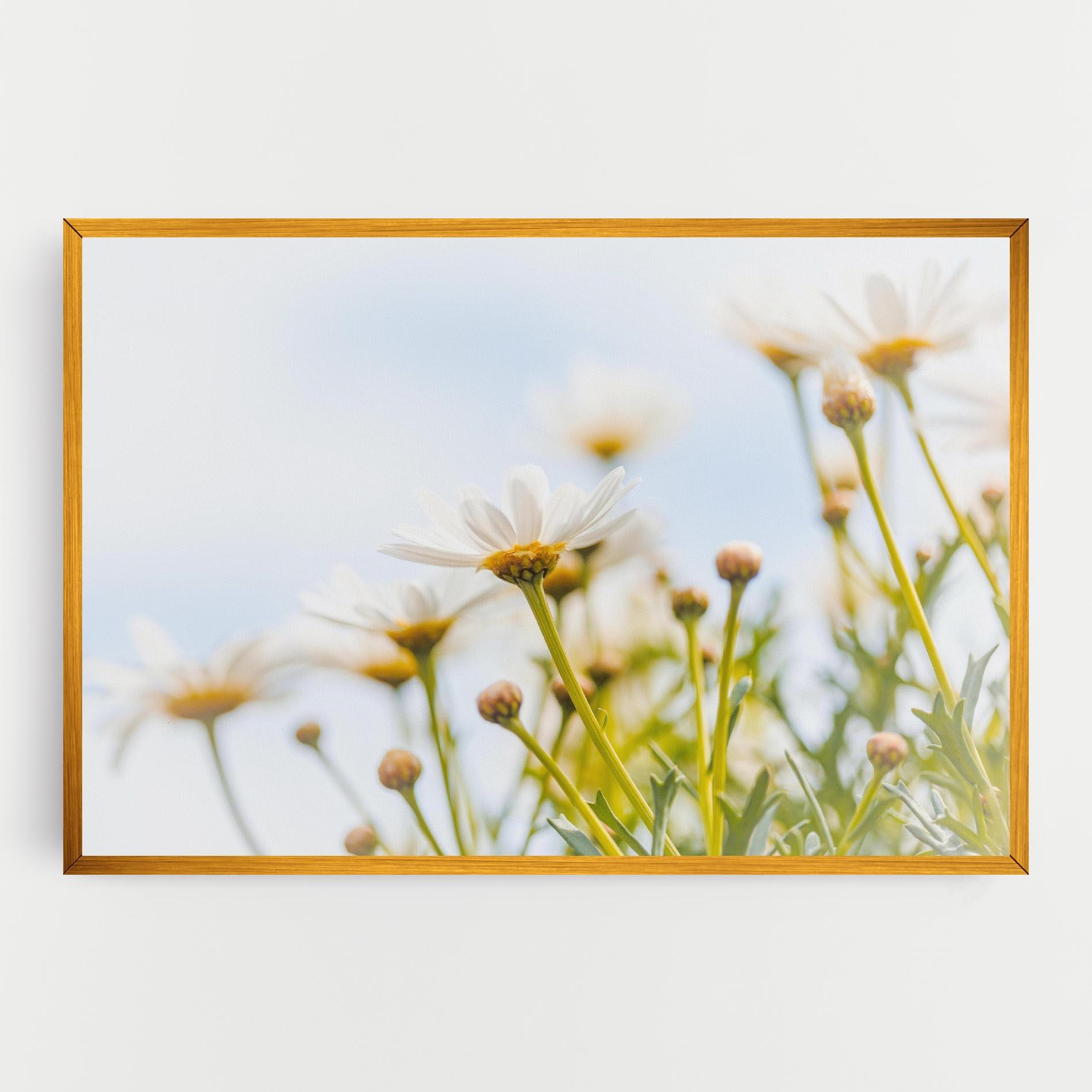 Tablou Canvas Dreamy Daisy mockup 0