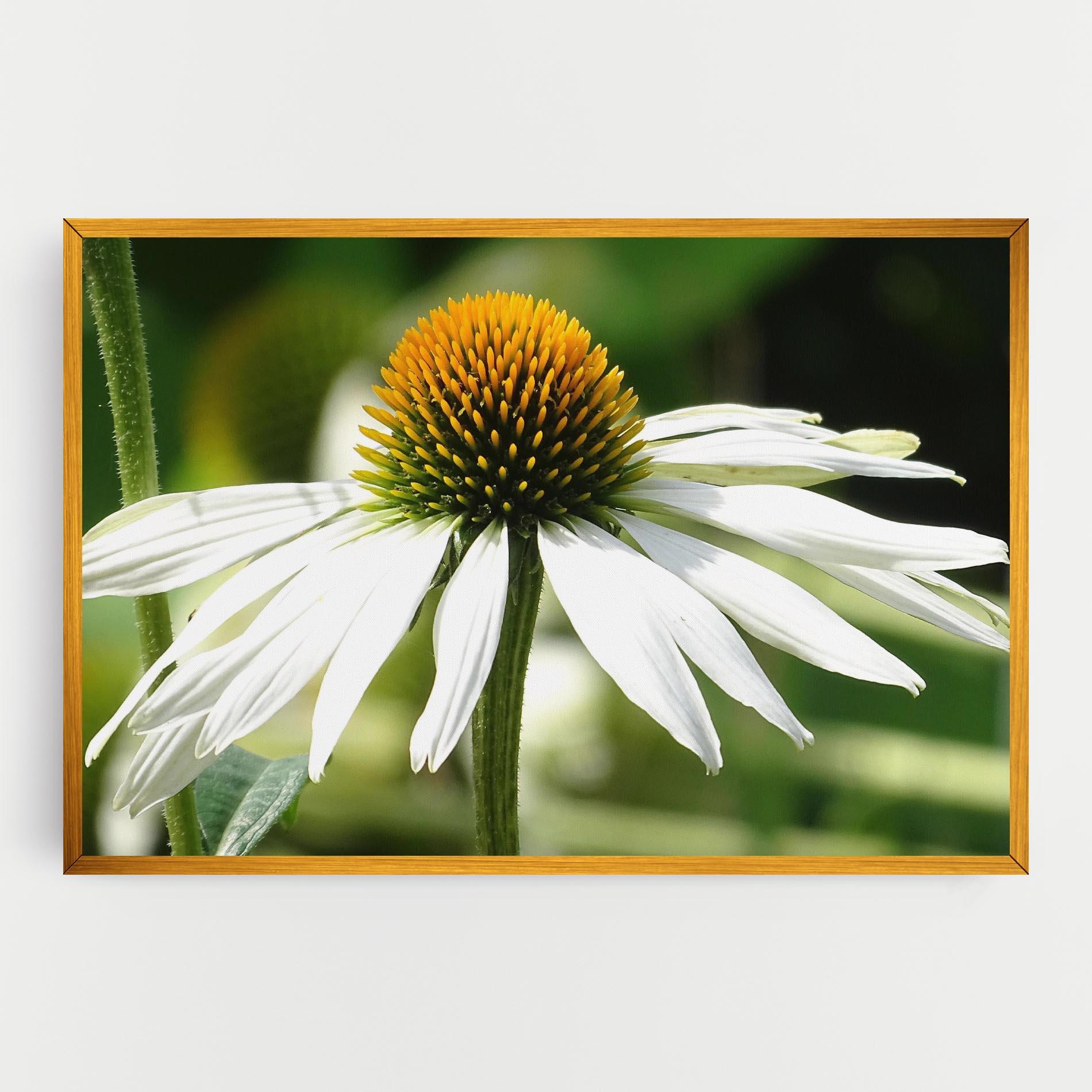 Tablou Canvas Green Daisy mockup 0